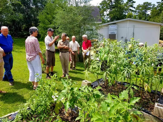 Green Faith Alliance Inspires Sustainability At Houses Of Worship