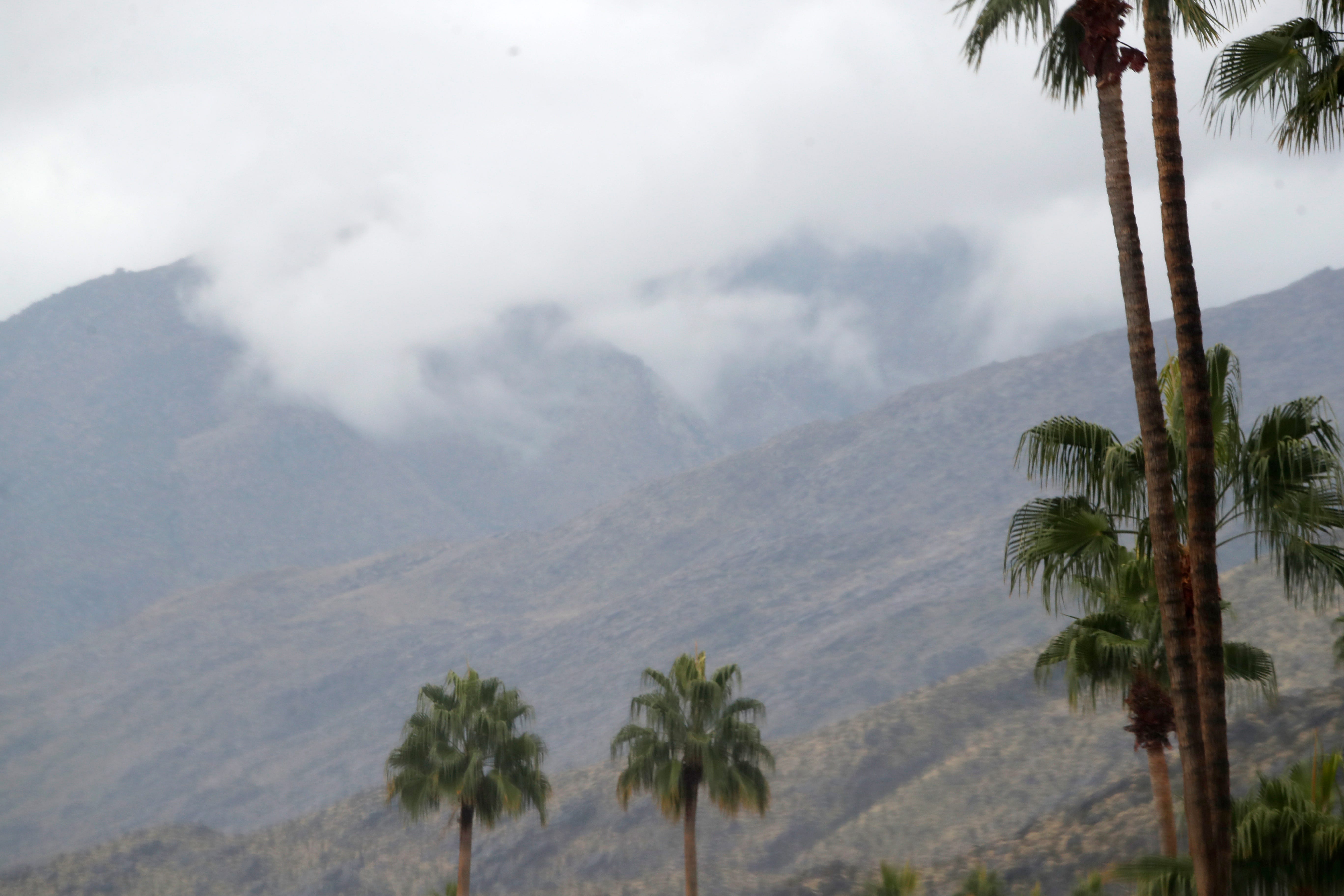 palm desert weather in january