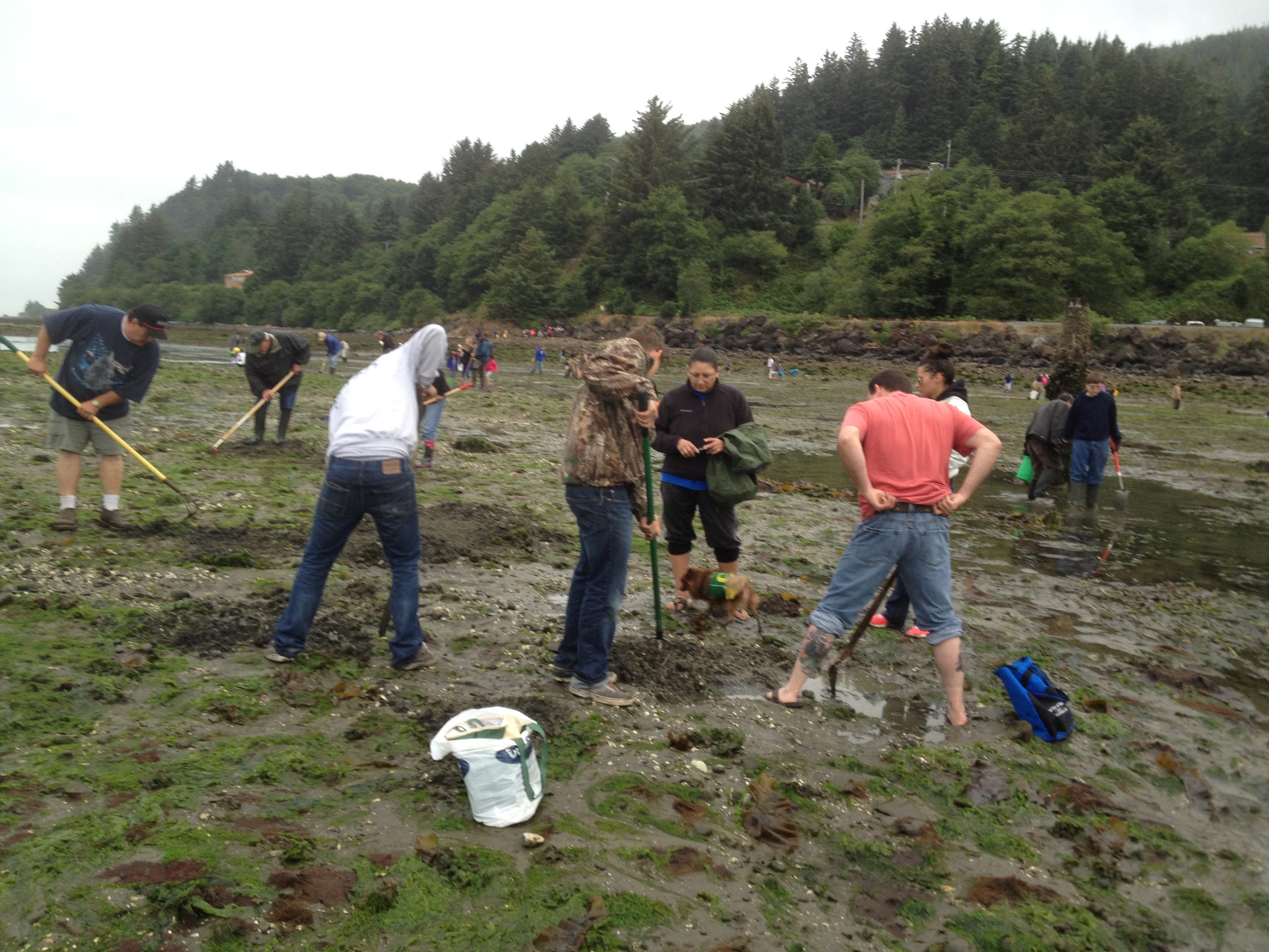 Henry Millers Oregon Coast Clamming Guide For 2020