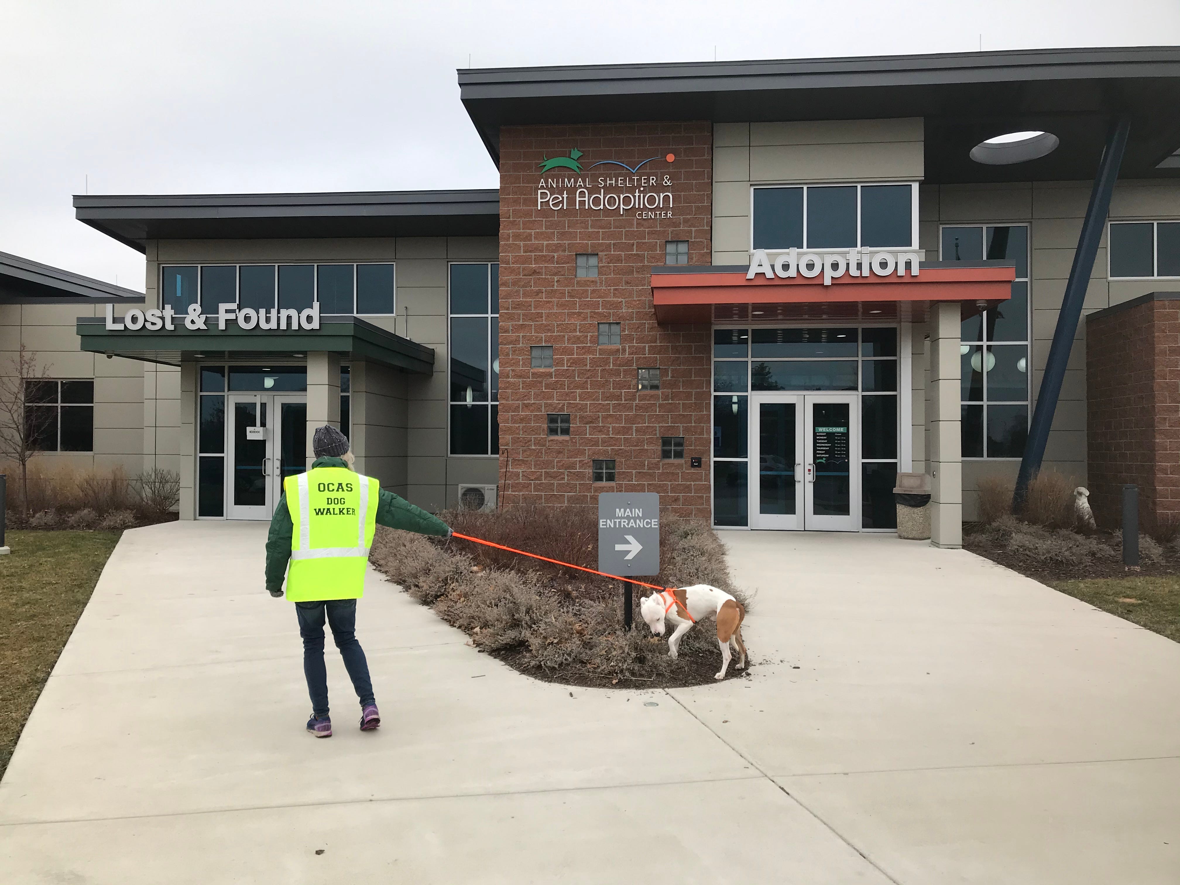 lake county animal shelter