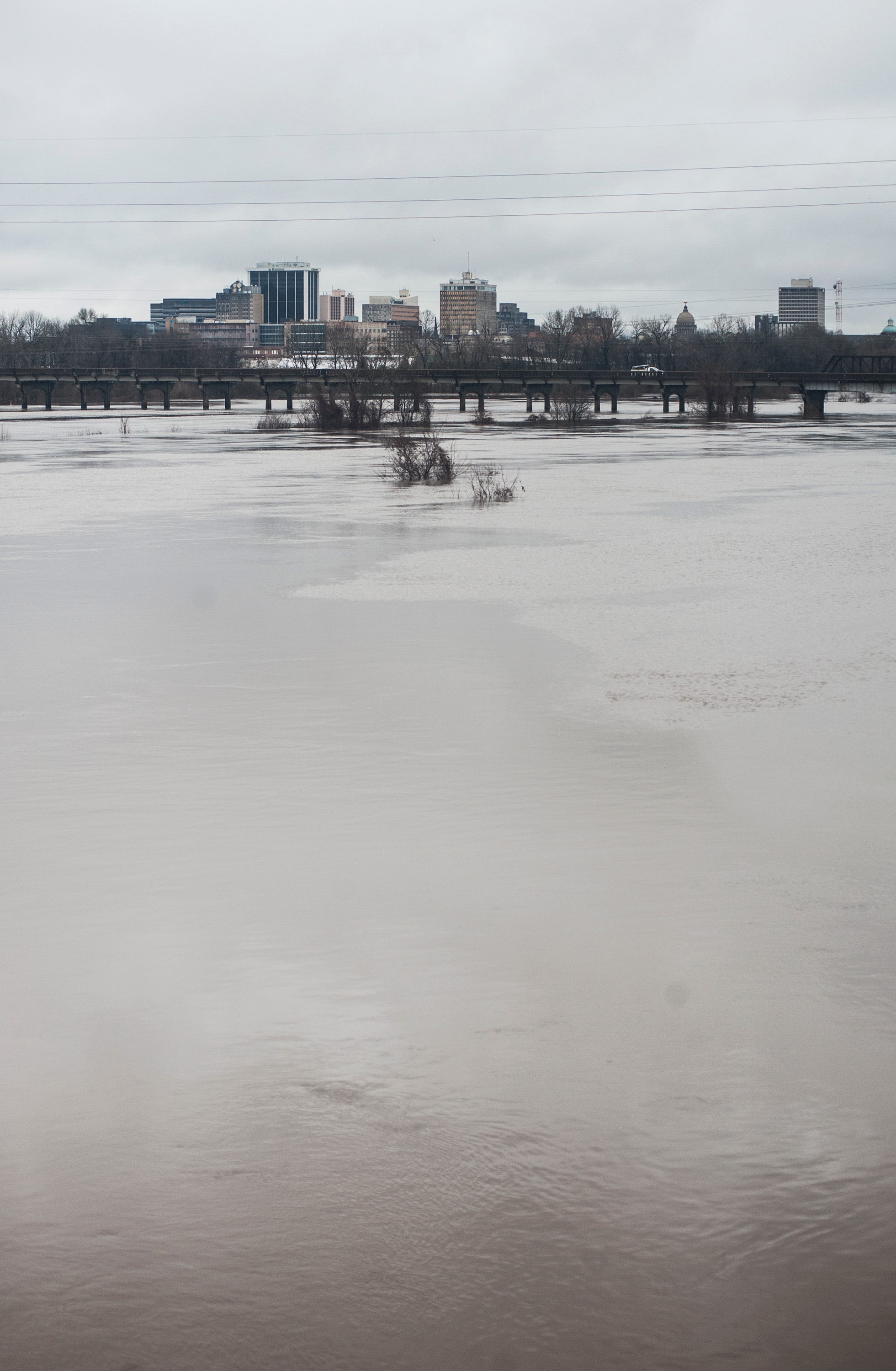 Pearl River Flood Stage: Metro Jackson Mississippi