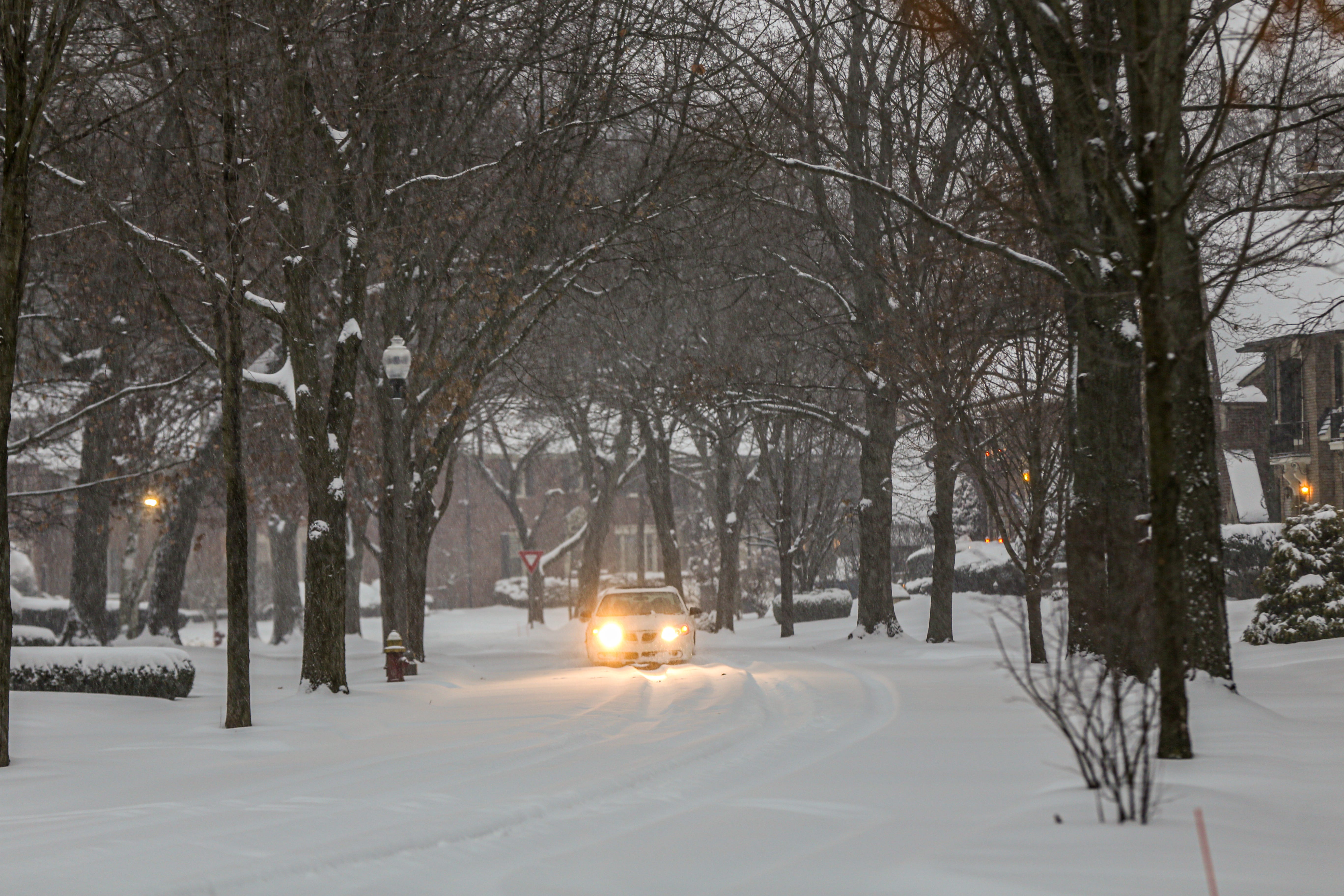 winter wonders detroit