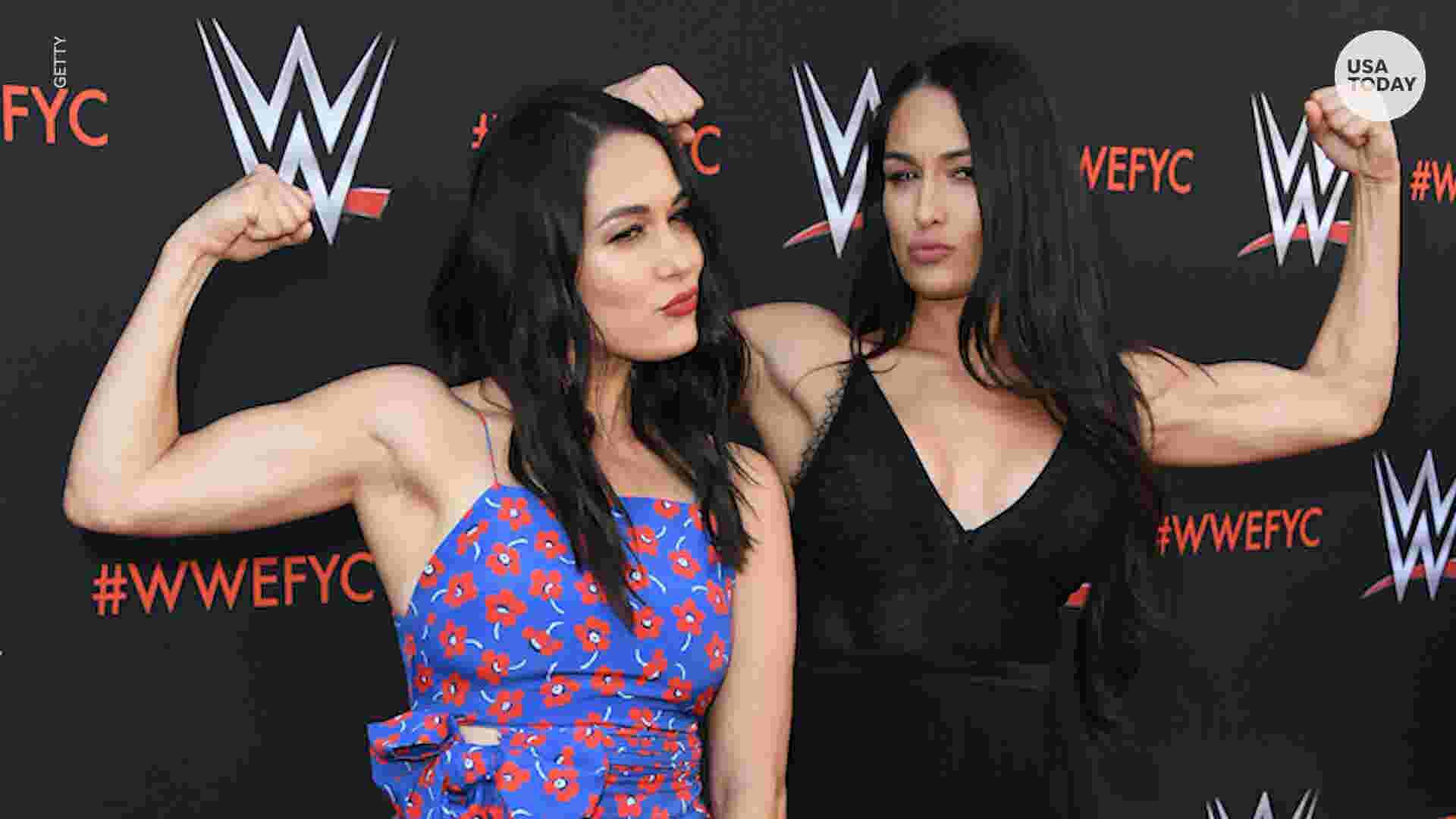 Nikki Bella Brie Bella Pregnant And Due Within Weeks Of Each Other 7237