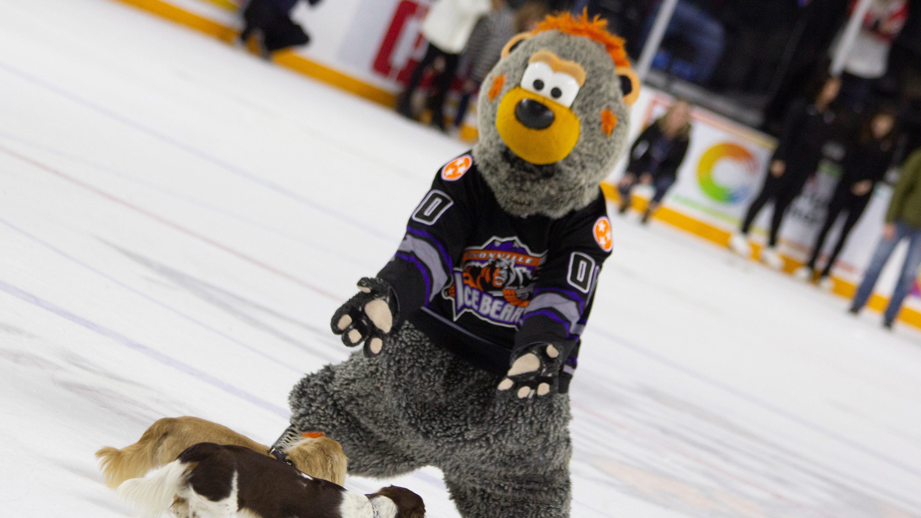 Ice Bears How Knoxville hopes to make it through 202021 season