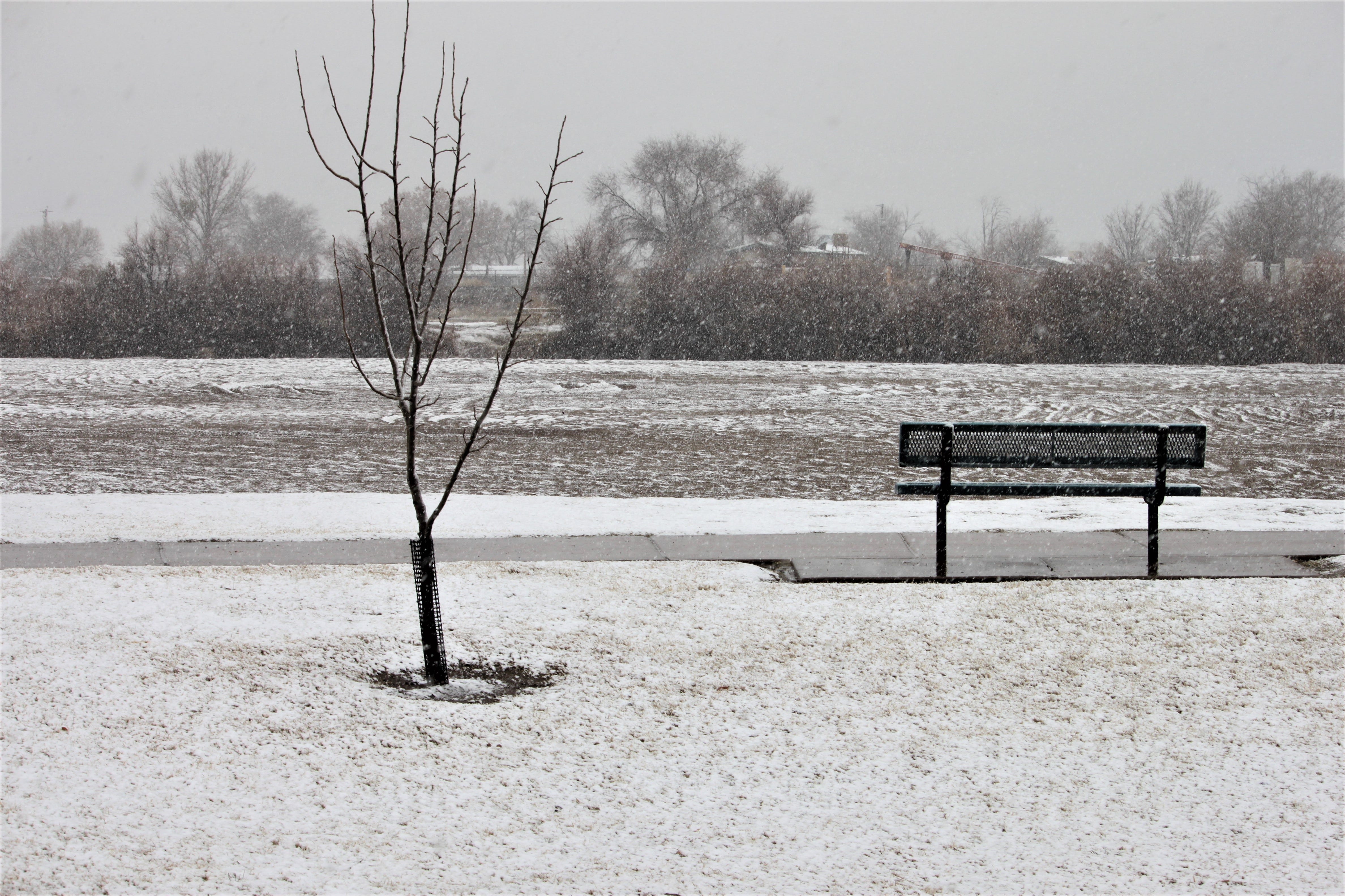 how-much-snow-fell-in-las-cruces