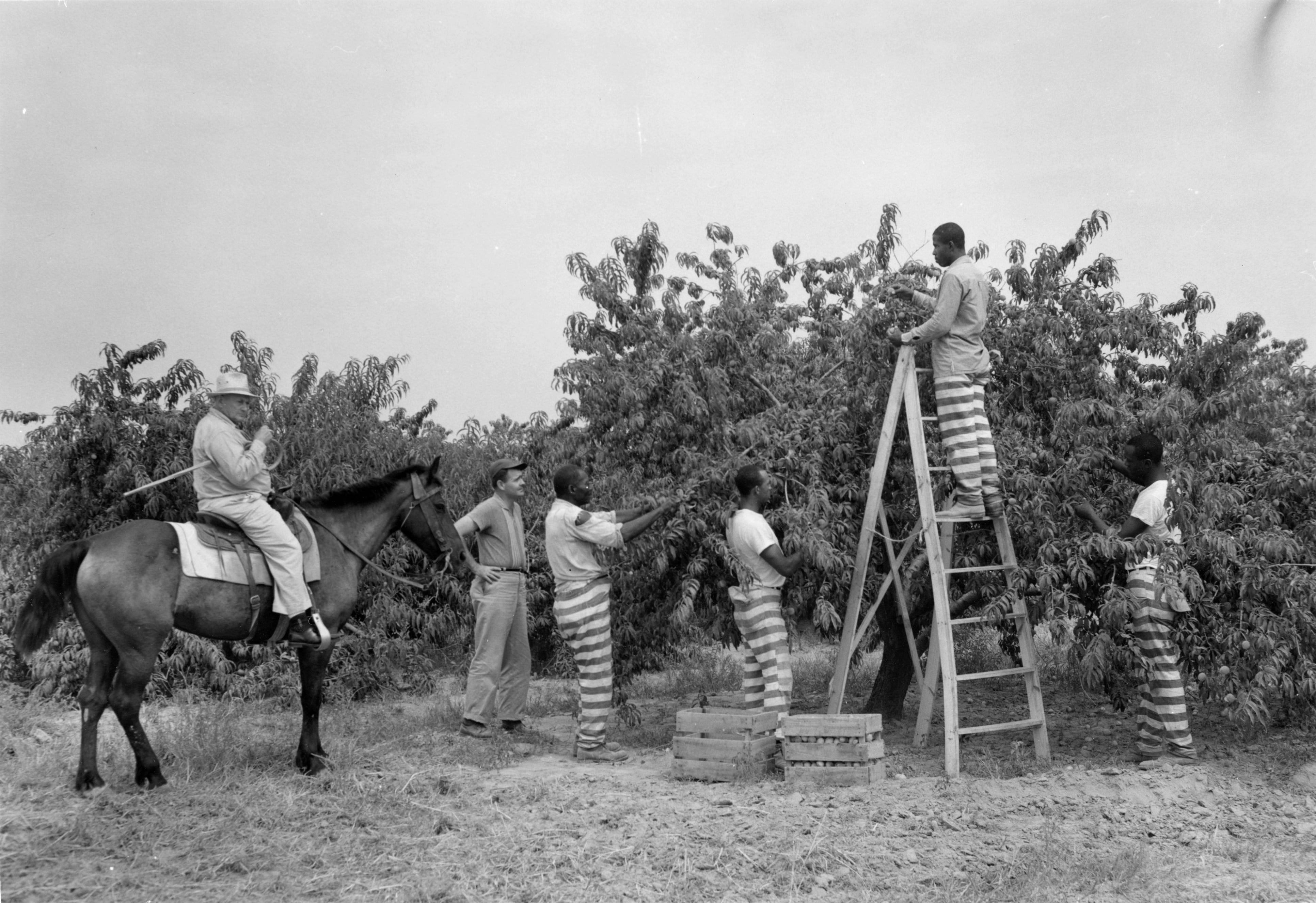 Parchman Prison: History Of Mississippi's Oldest Penitentiary