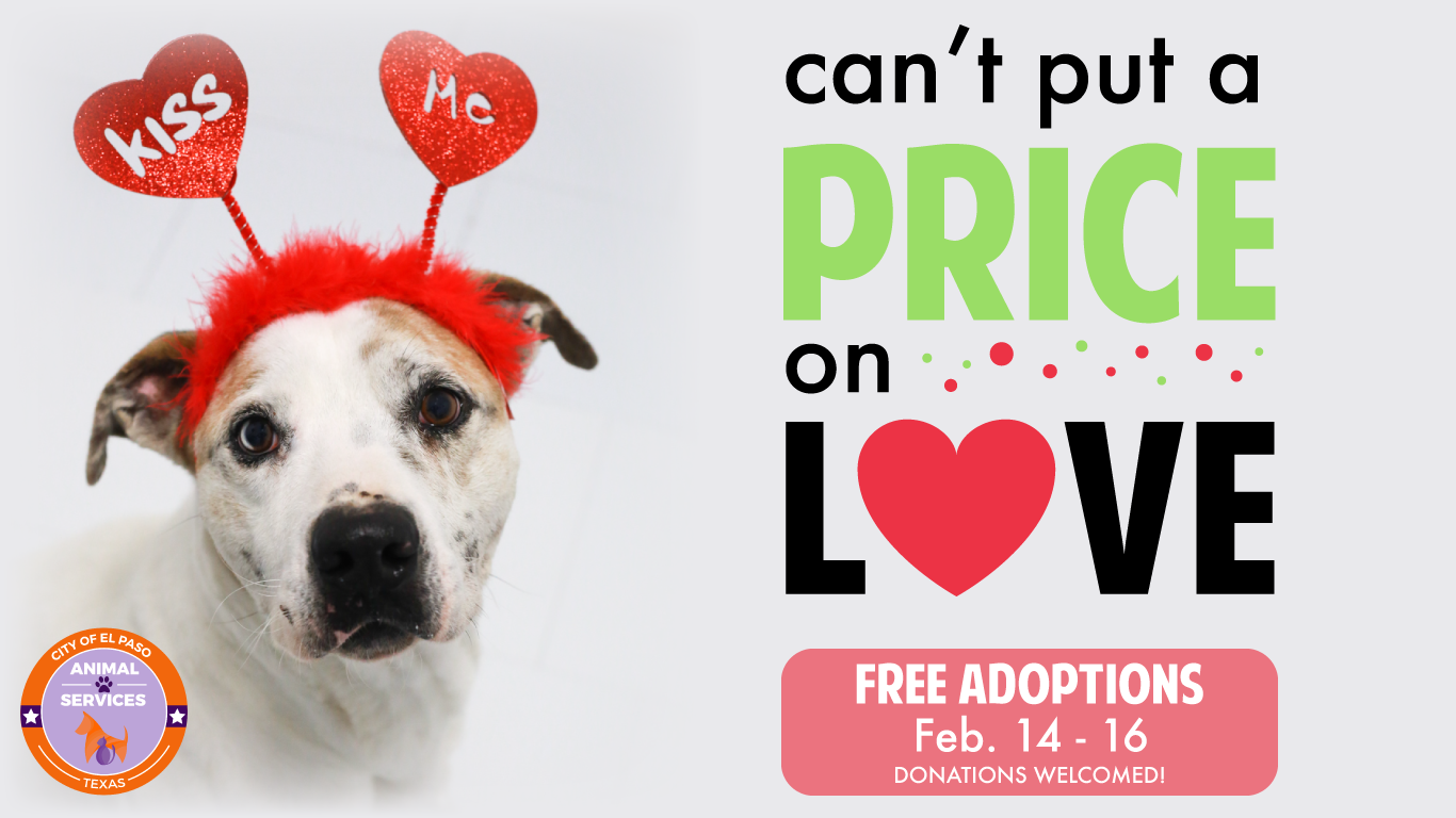 free pet adoptions this weekend
