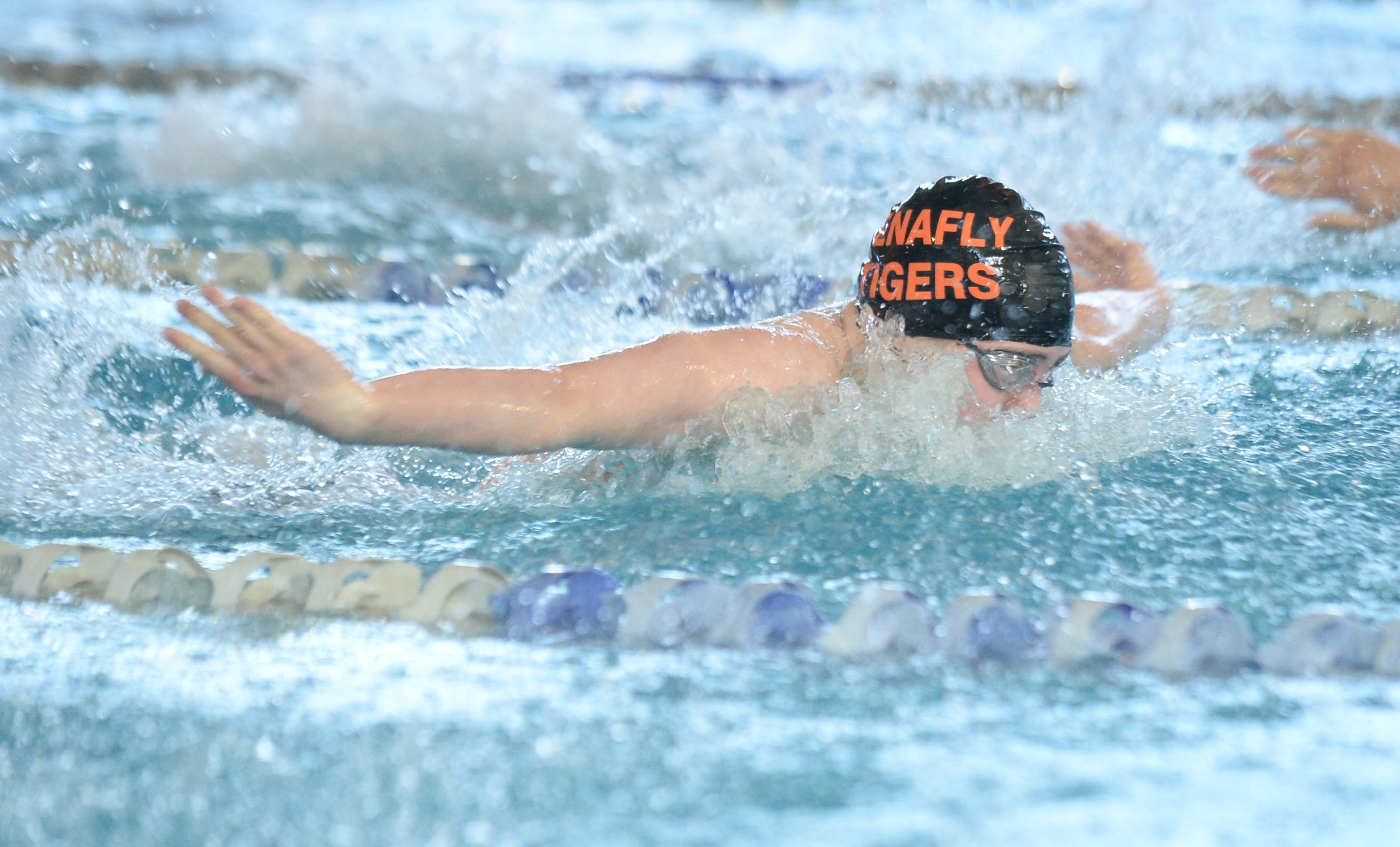 tigers jersey swimming club