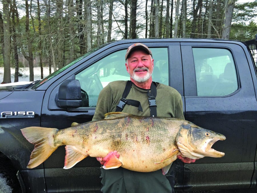 Thomas Knight, a fisherman in New Hampshire, broke a state record by reeling in a fish weighing a whopping 37 pounds.