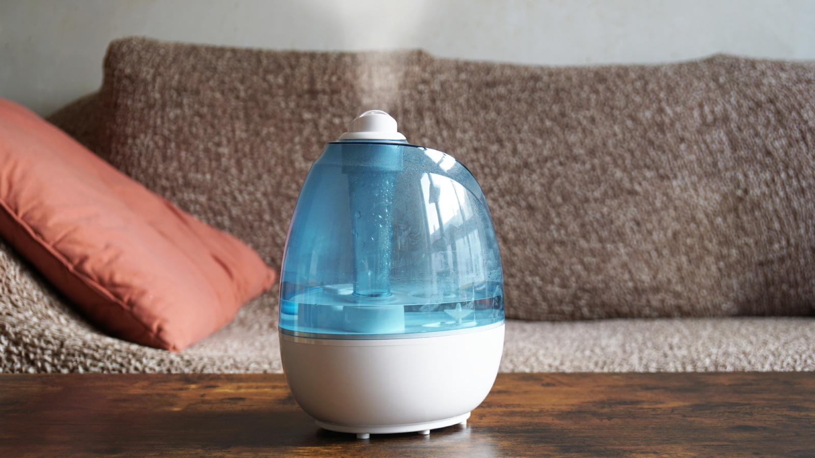 which humidifiers