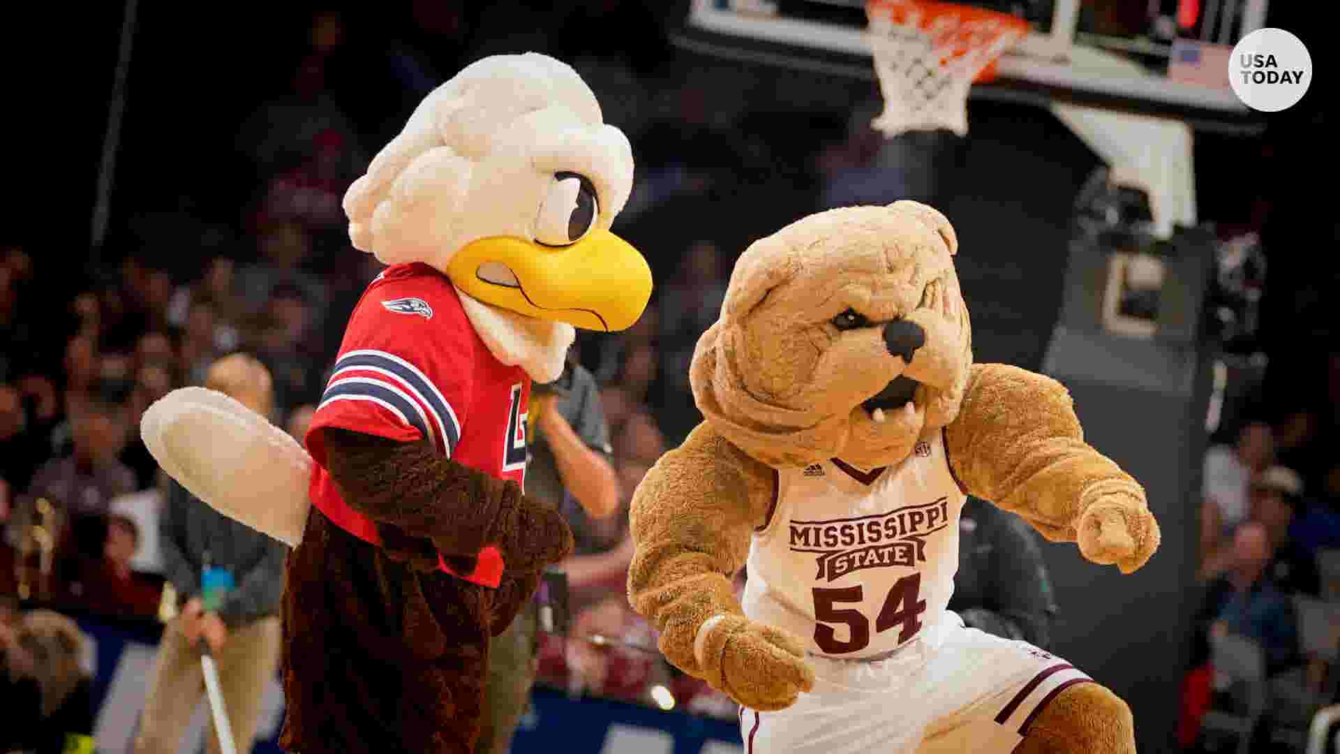 Top 5 Most Ridiculous High School Mascots In Minnesot - vrogue.co