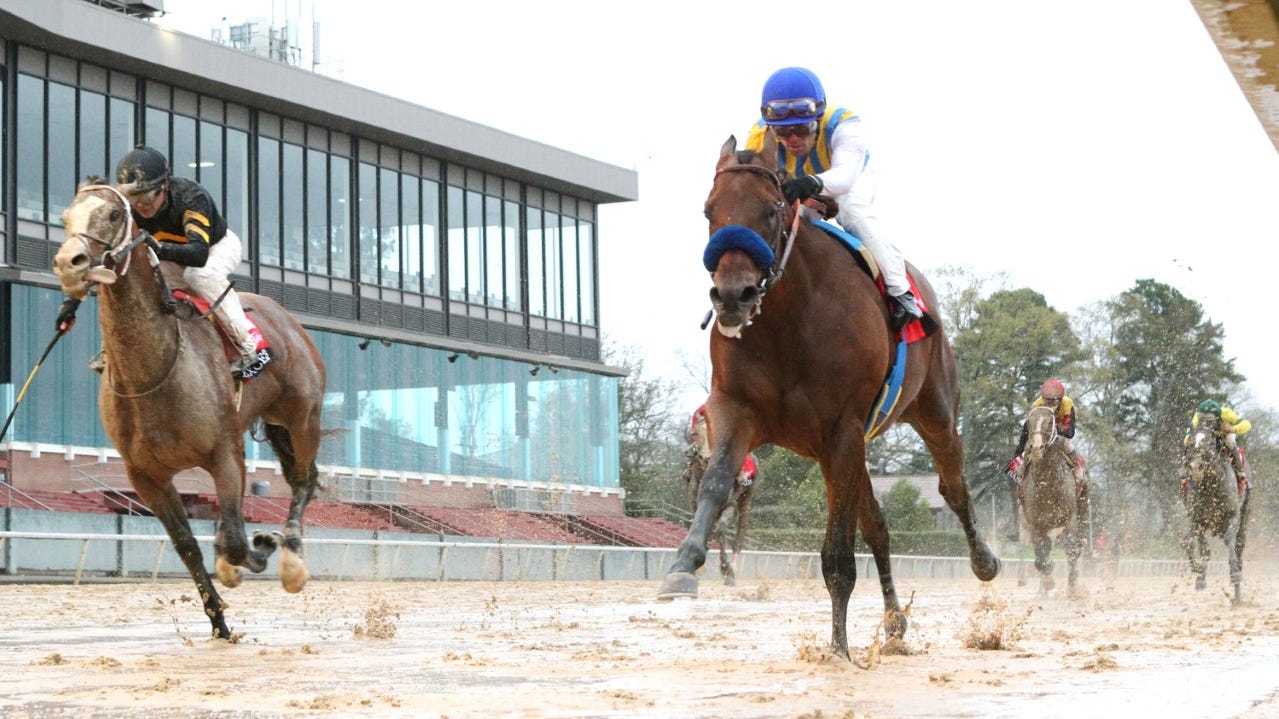 Arkansas Derby Current Odds