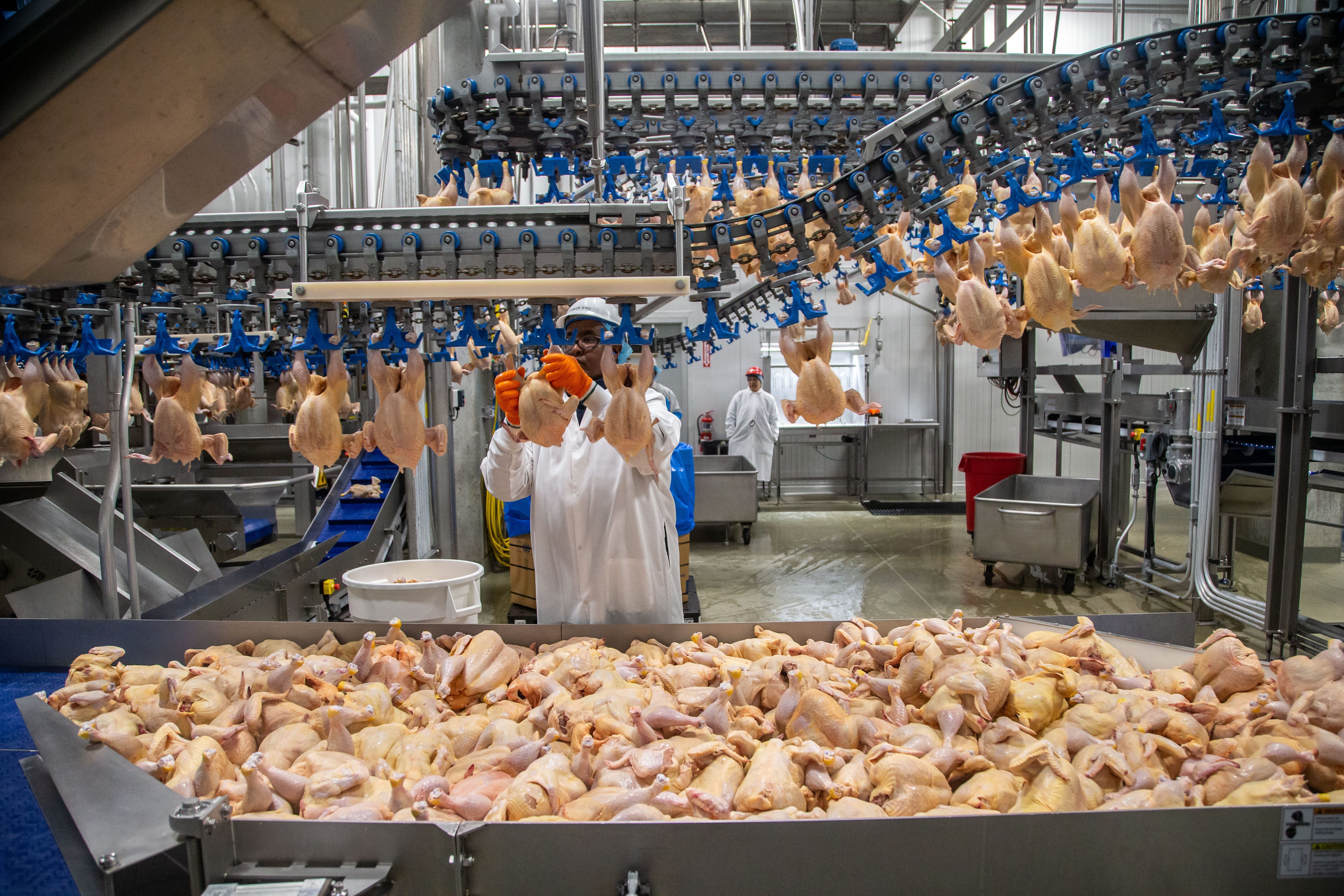 See Inside The Plant That Soon Will Process 2 Million Chickens A Week ...