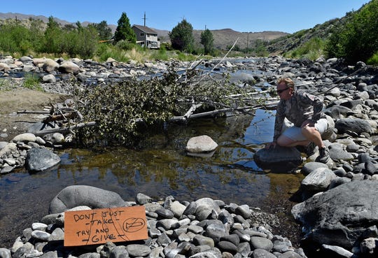 Fishing guide Rob Anderson looks at fish gathered under a shade structure that was constructed by someone hoping to help the fish survive the dry Truckee River on July 6, 2015.