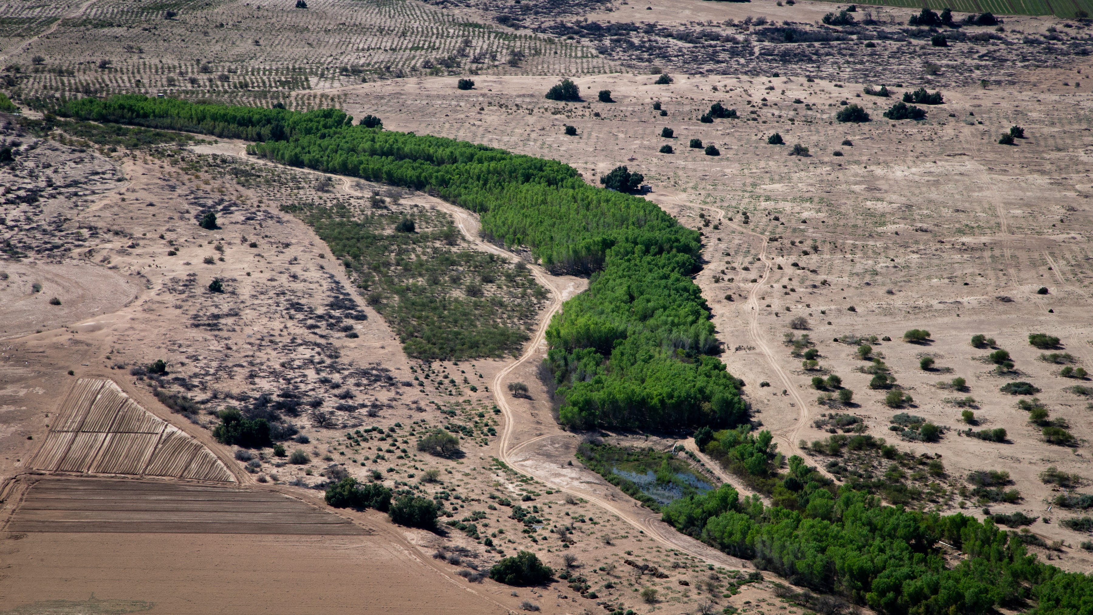 How Mexico S Dry Colorado River Delta Is Being Restored Piece By Piece