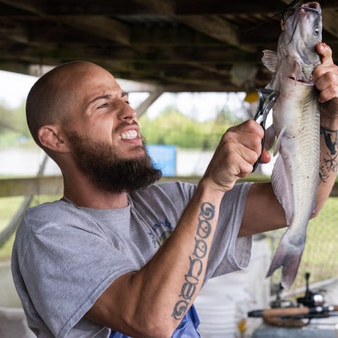 Kevin Glona clips the fins off a catfish at Catche