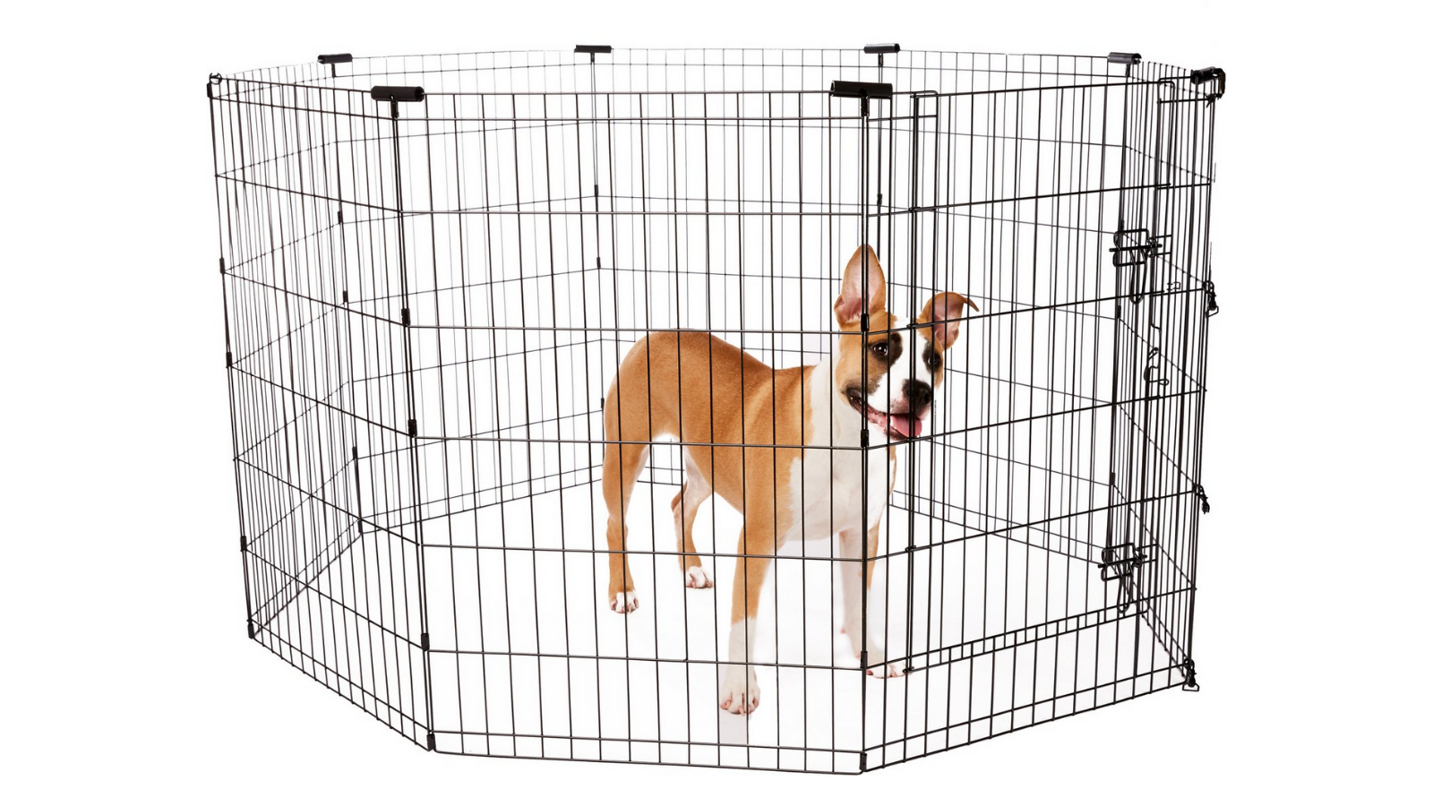 dog playpen chewy