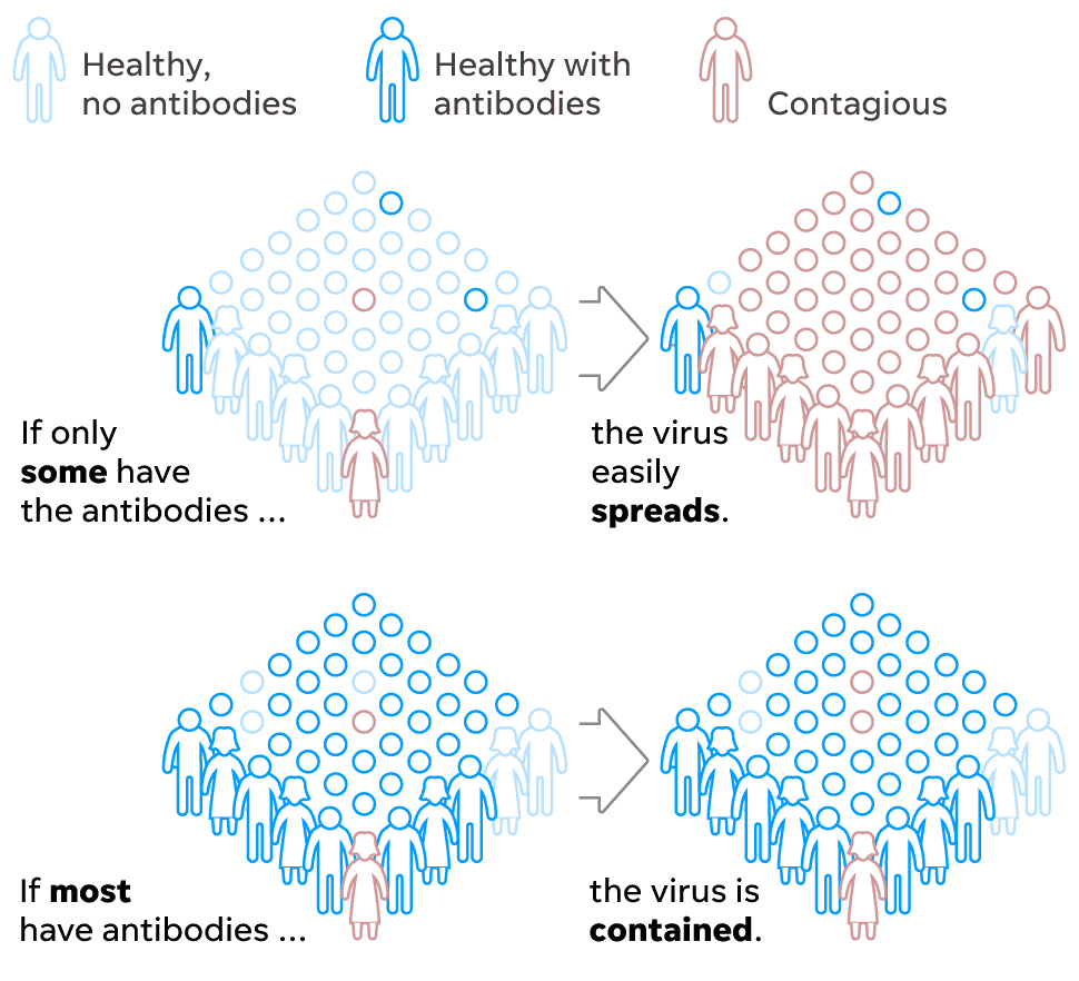 Coronavirus Test Picture Diagram