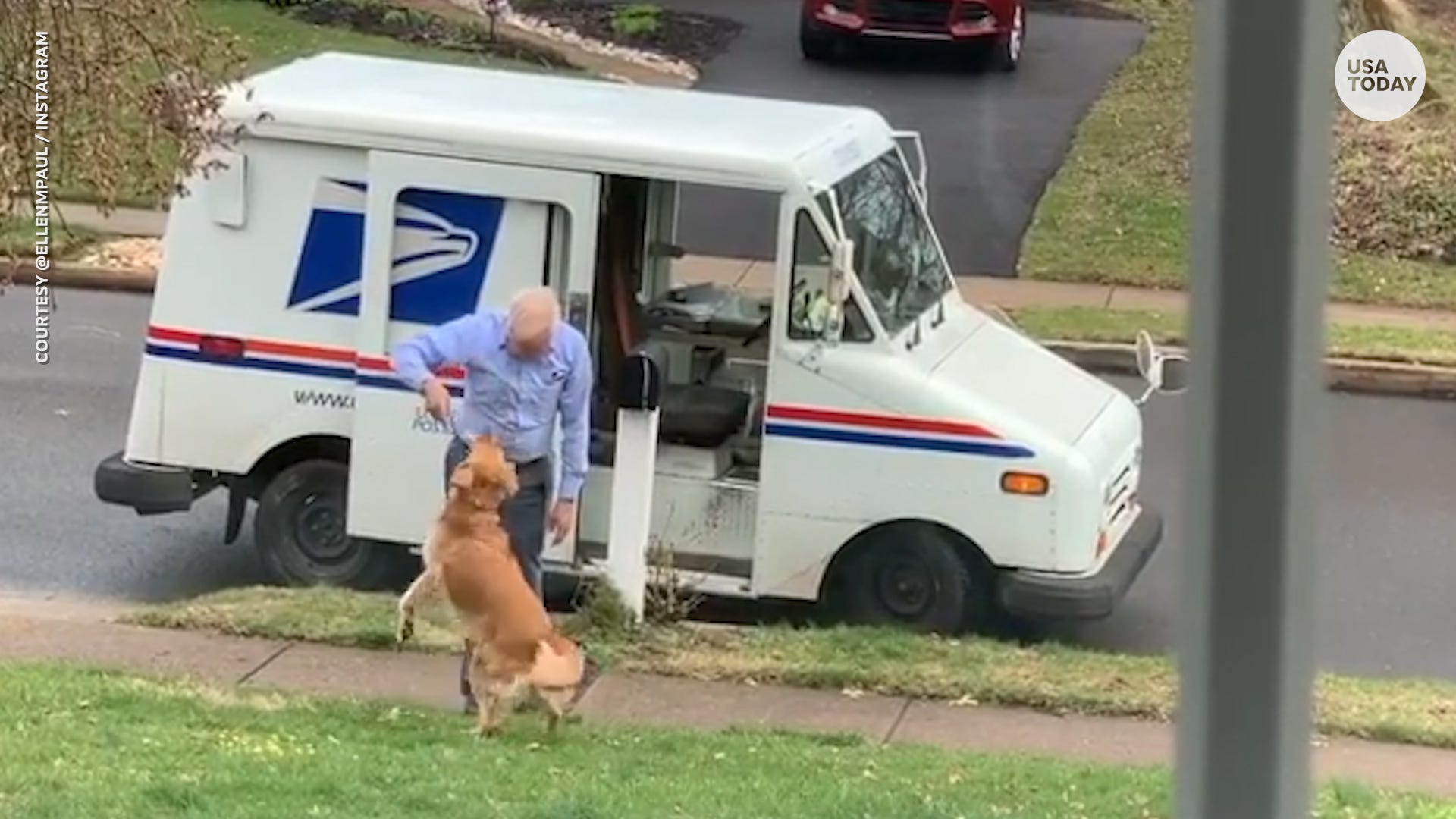 why do dogs chase mailmen