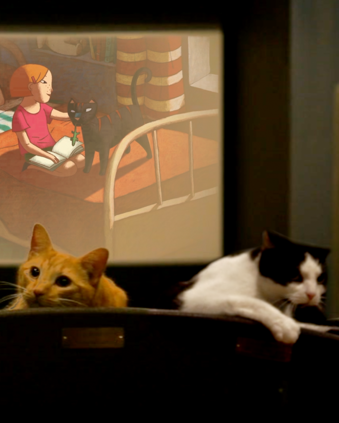 Quarantine Cat Film Fest Fan Sourced Film To Aid Closed Theaters