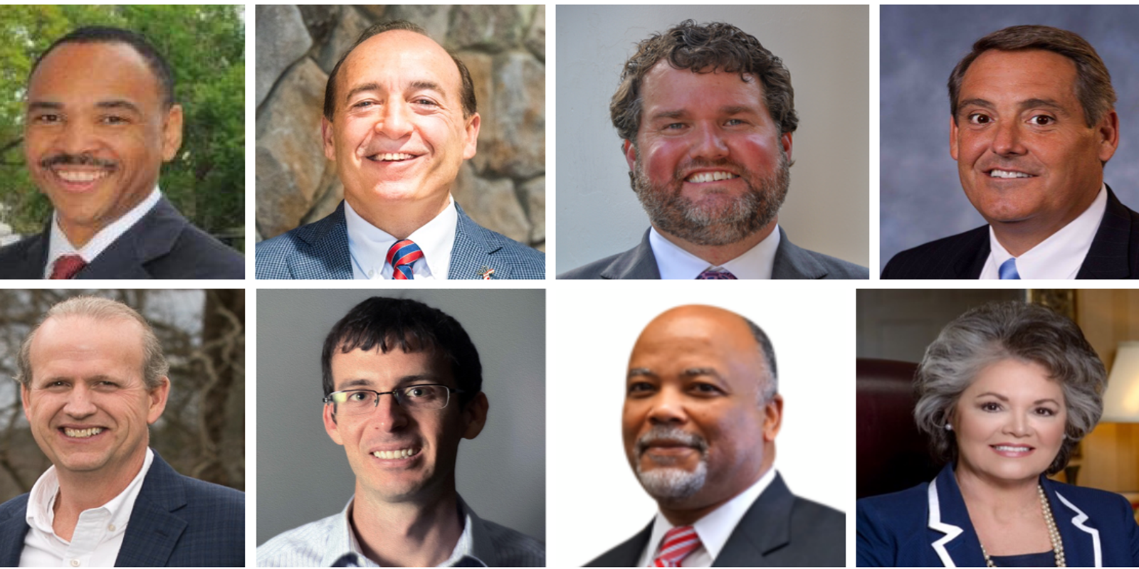 SC primaries The candidates for State Senate in Greenville County