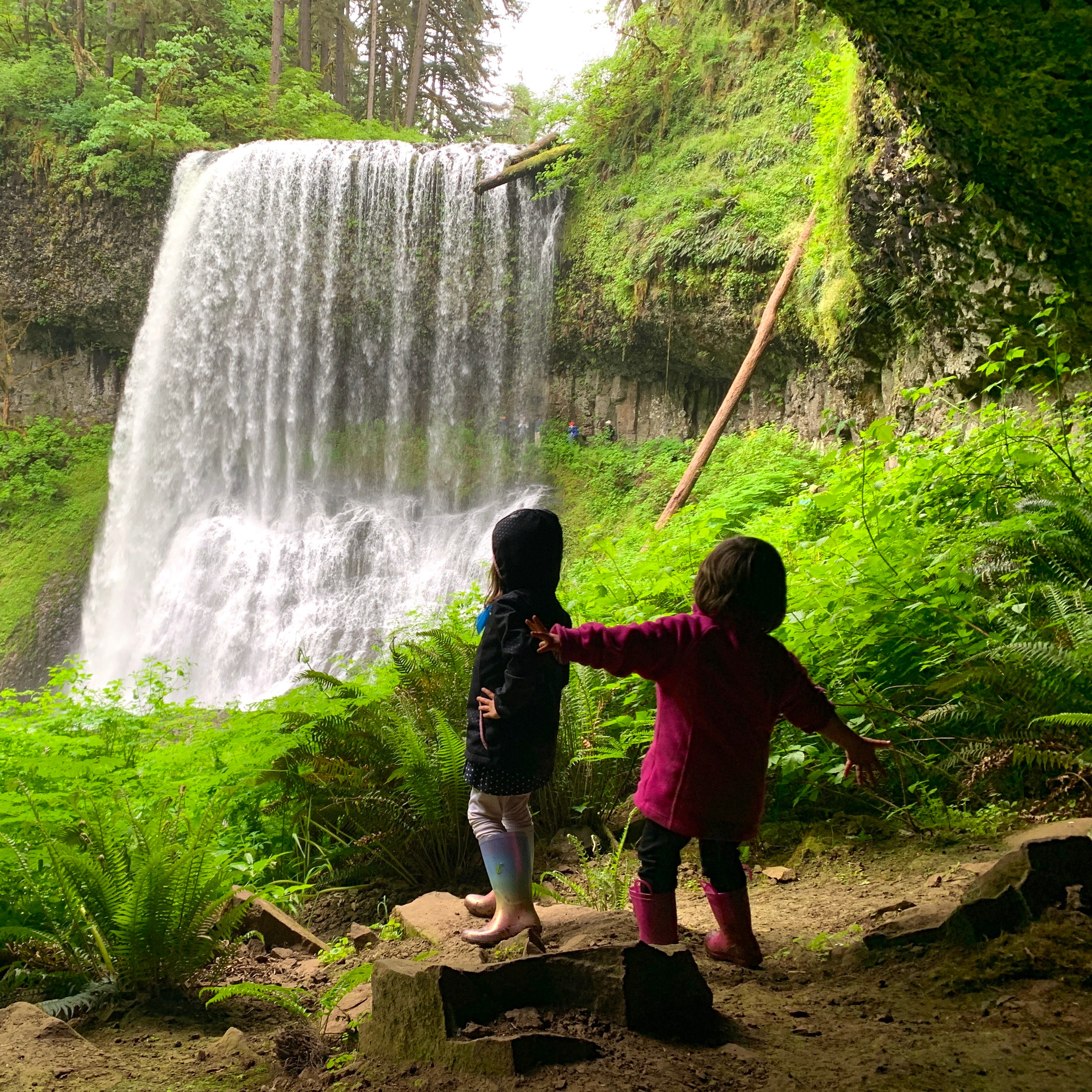 Oregon Coronavirus News Silver Falls State Park Reopens Amid Covid 19