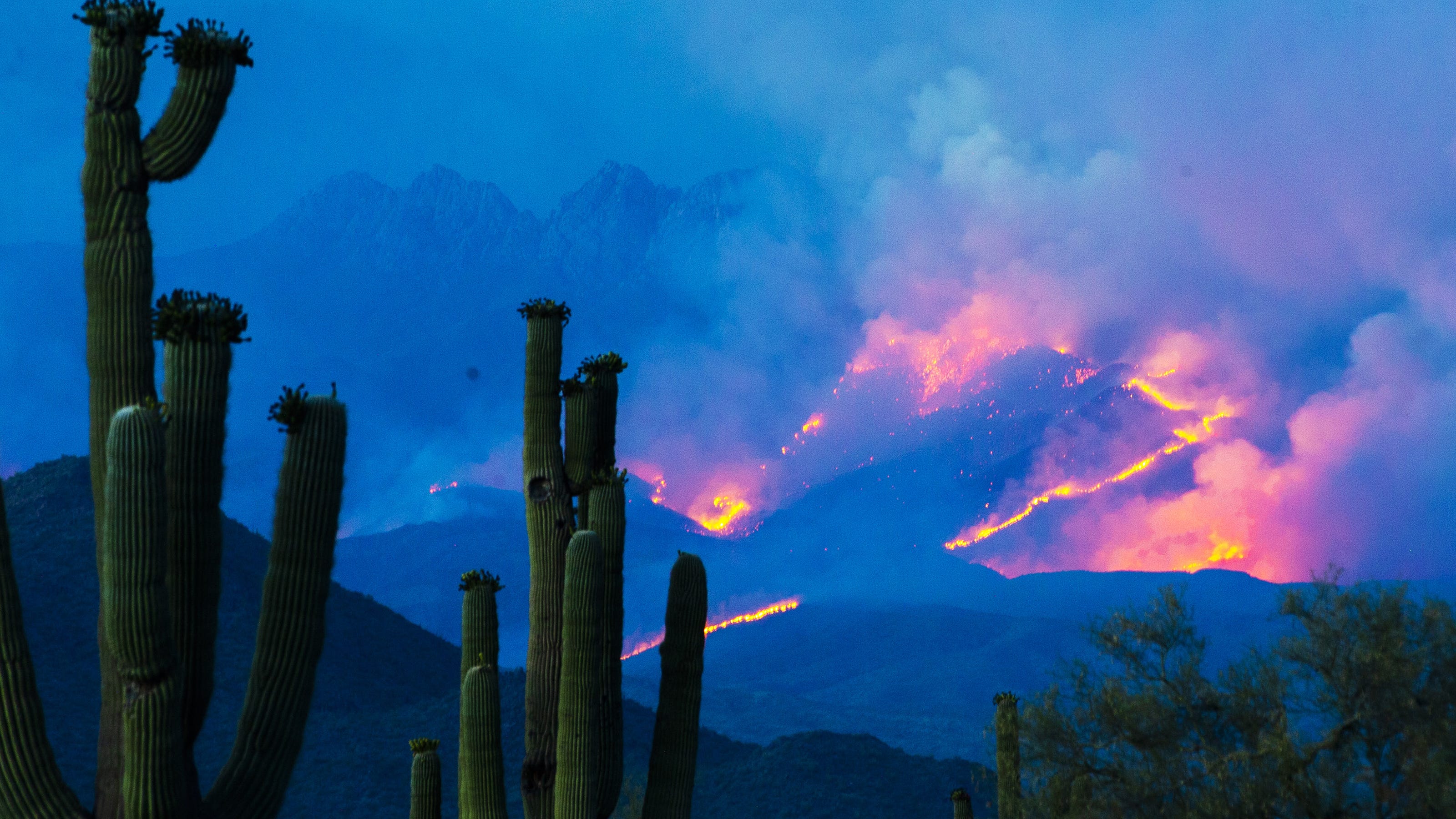 2020 was one of Arizona's worst wildfire seasons in a decade