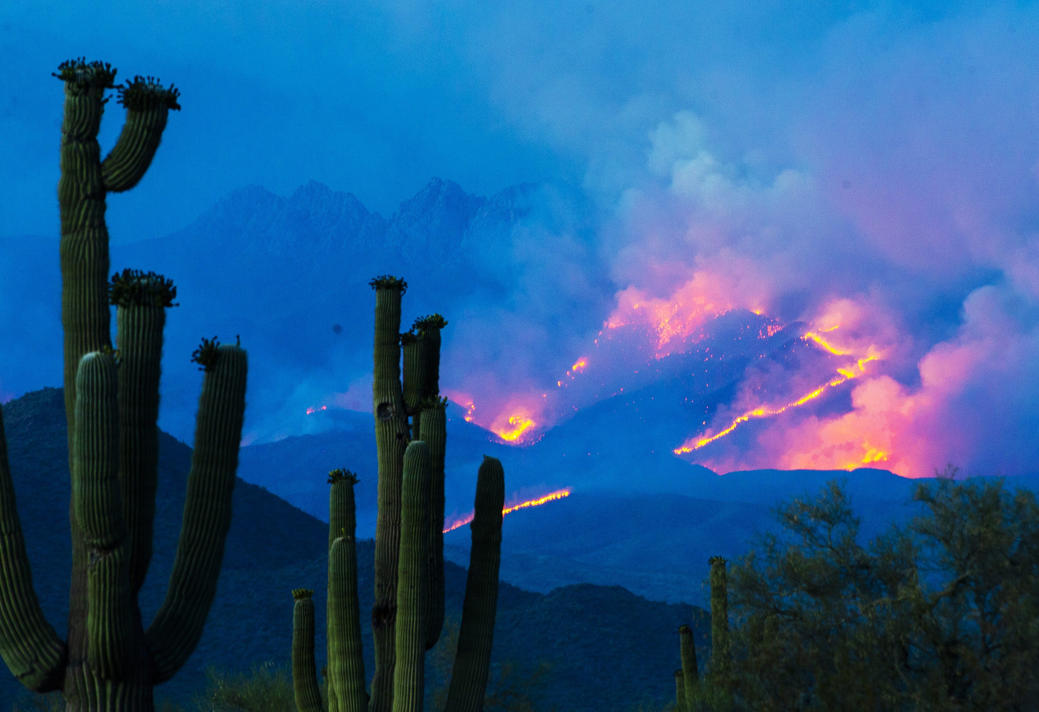 Arizona wildfire outlook 2021: 'Severe' potential due to drought, more