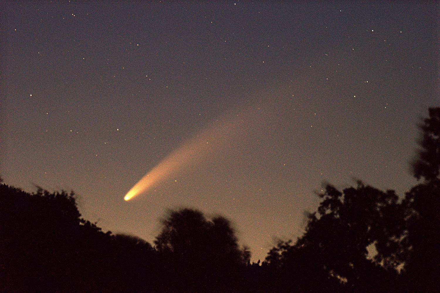 when will the next comet be visible