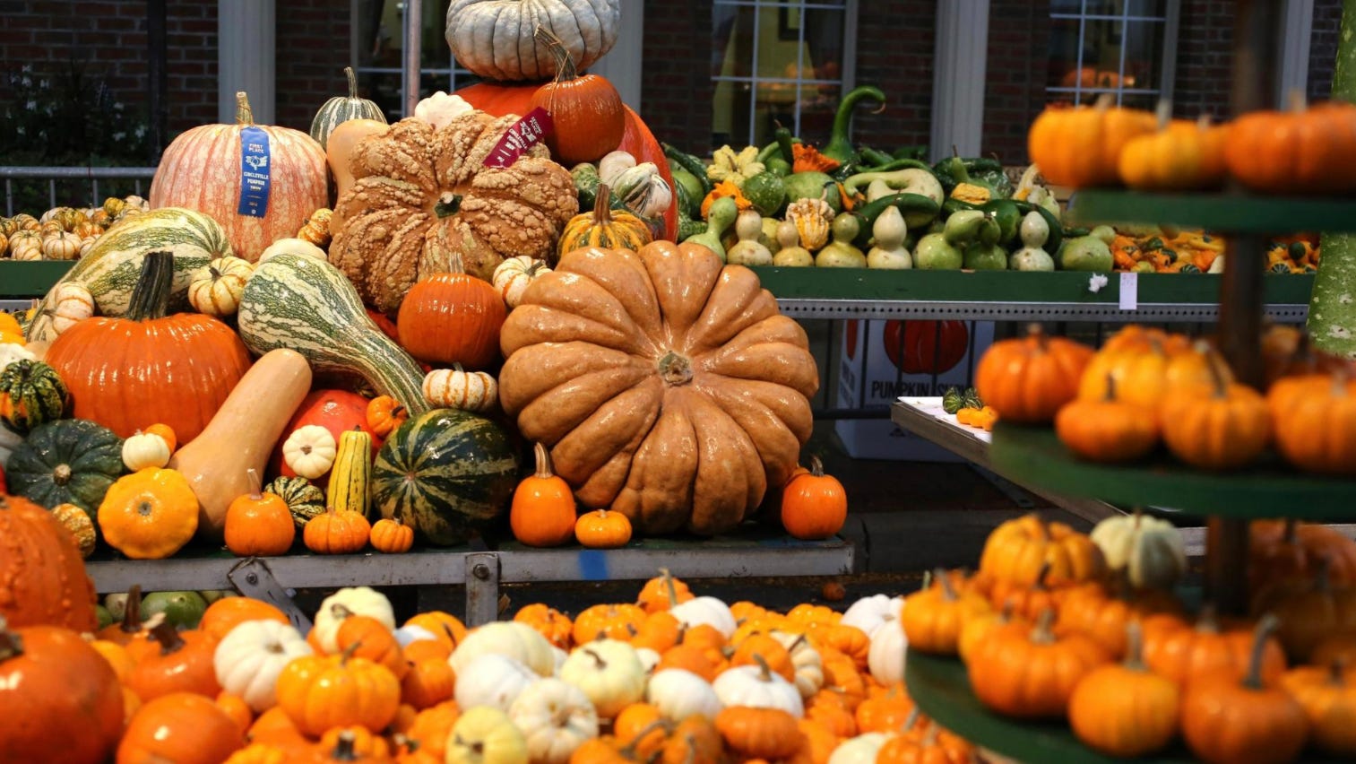 Circleville’s Pumpkin Show in October canceled due to pandemic