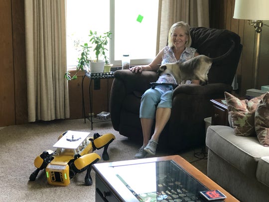 Paula Wiebelhaus is training Fluffy the robotic dog at home for Ford during the pandemic. Her cats are wary of the machine.