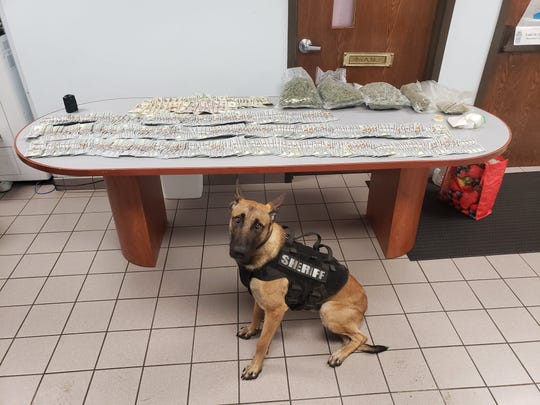 Ruger, the Menominee County sheriff K-9, helped police locate several pounds of marijuana and more than $35,000 in cash during a traffic stop early Sunday morning, July 26, 2020.