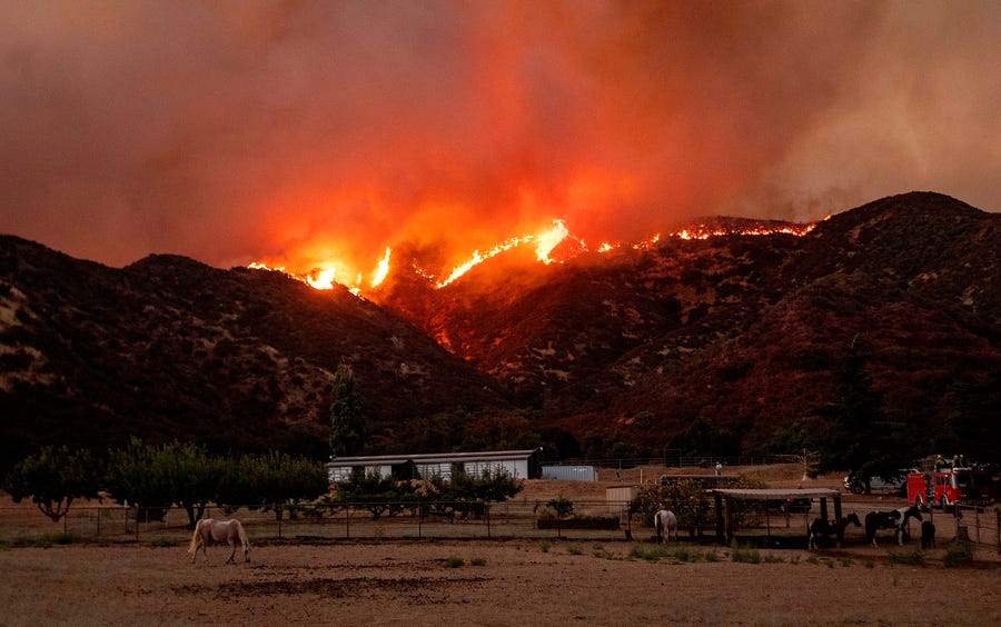 Horses graze as flames from the Apple Fire skirt a ridge in a residential area of Banning, California, on Aug. 1, 2020.