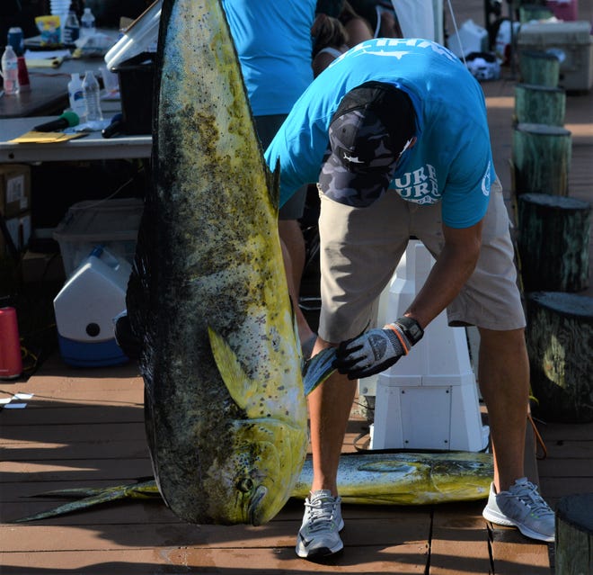 White Marlin Open results Ocean City boat wins with 97pound marlin