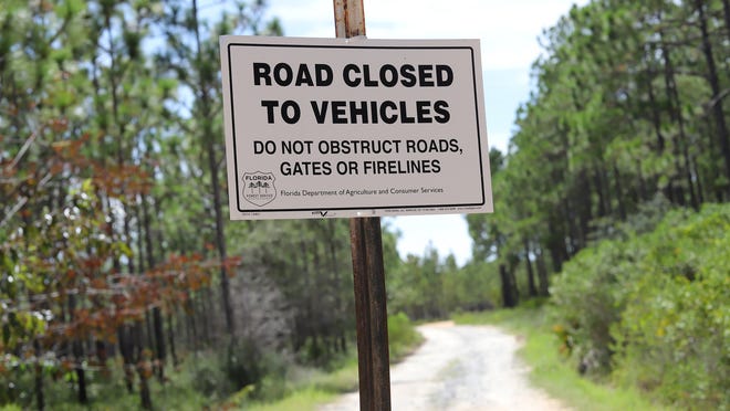 Florida Group Opposes Point Washington State Forest Road In Walton County
