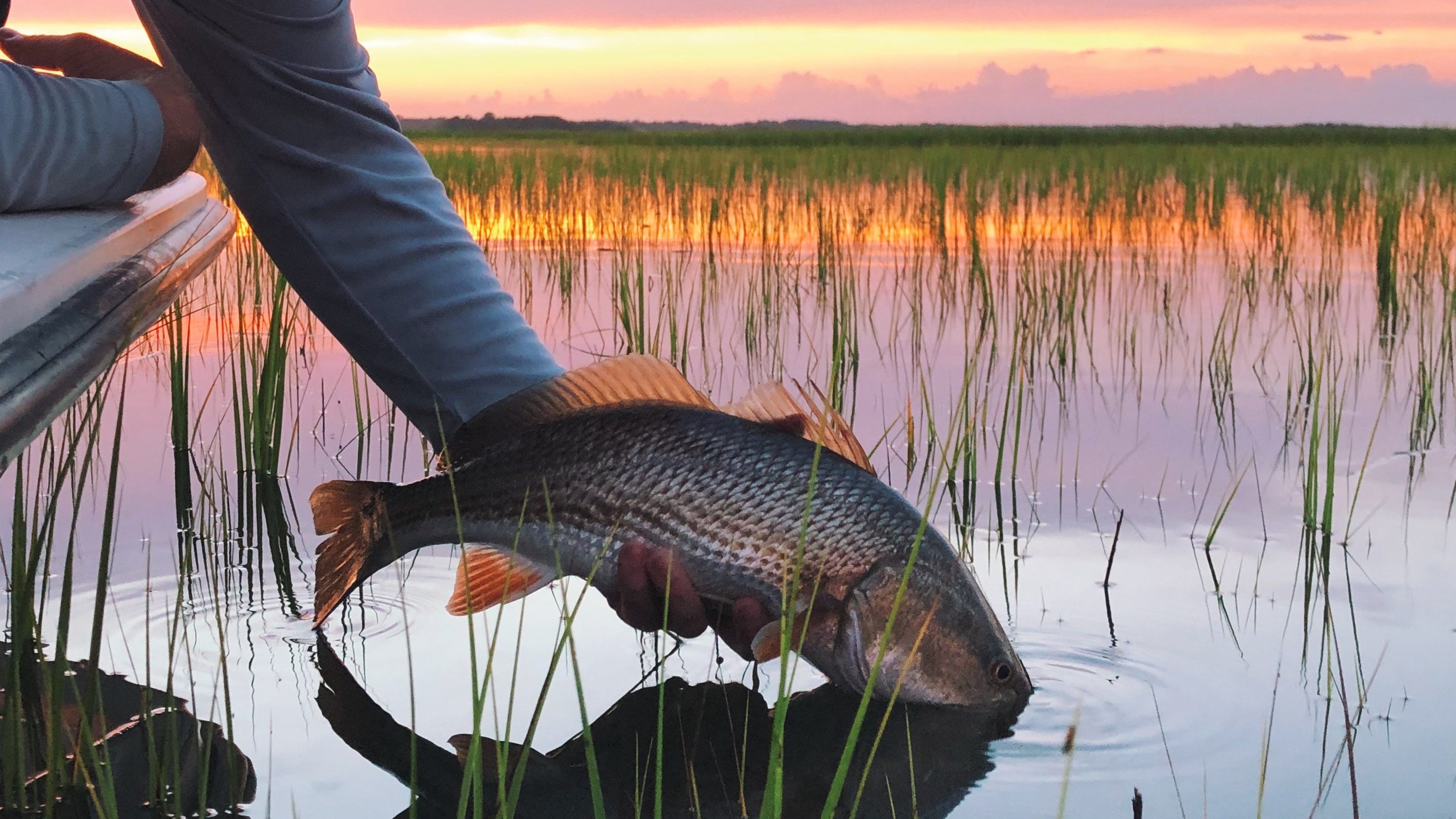 Jacksonville Fishing Report Fall is coming.