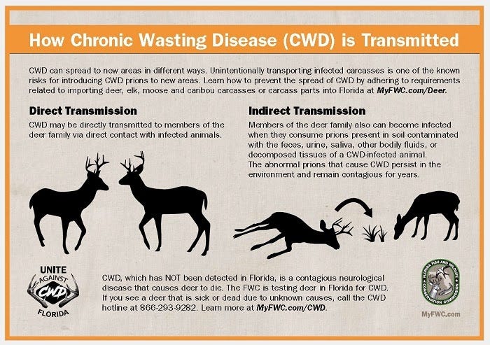 Chronic Wasting Disease Is Spreading Through Deer Herds Across Montana