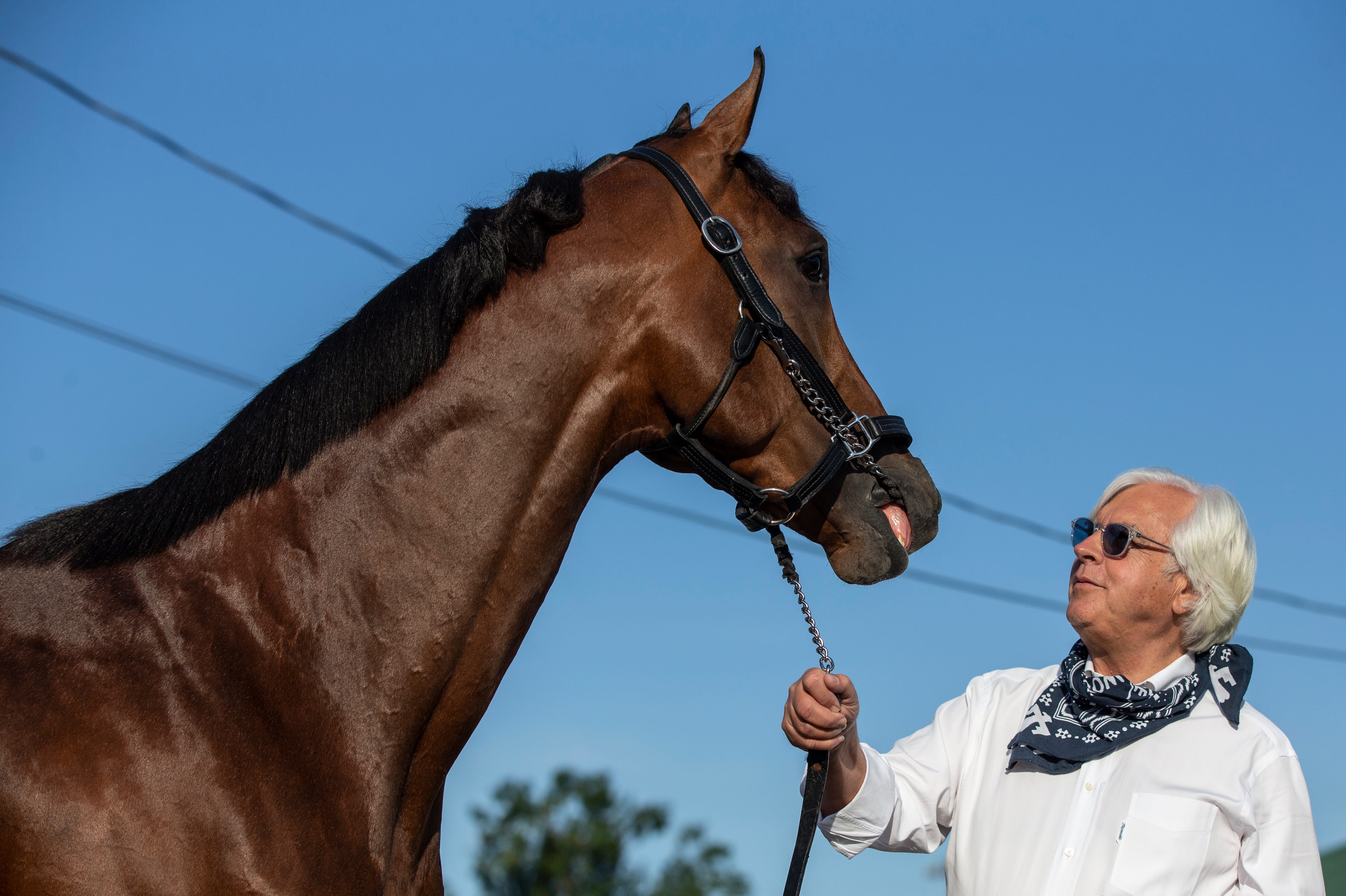 Breeders' Cup Allows Horse Trainer Bob Baffert To Compete