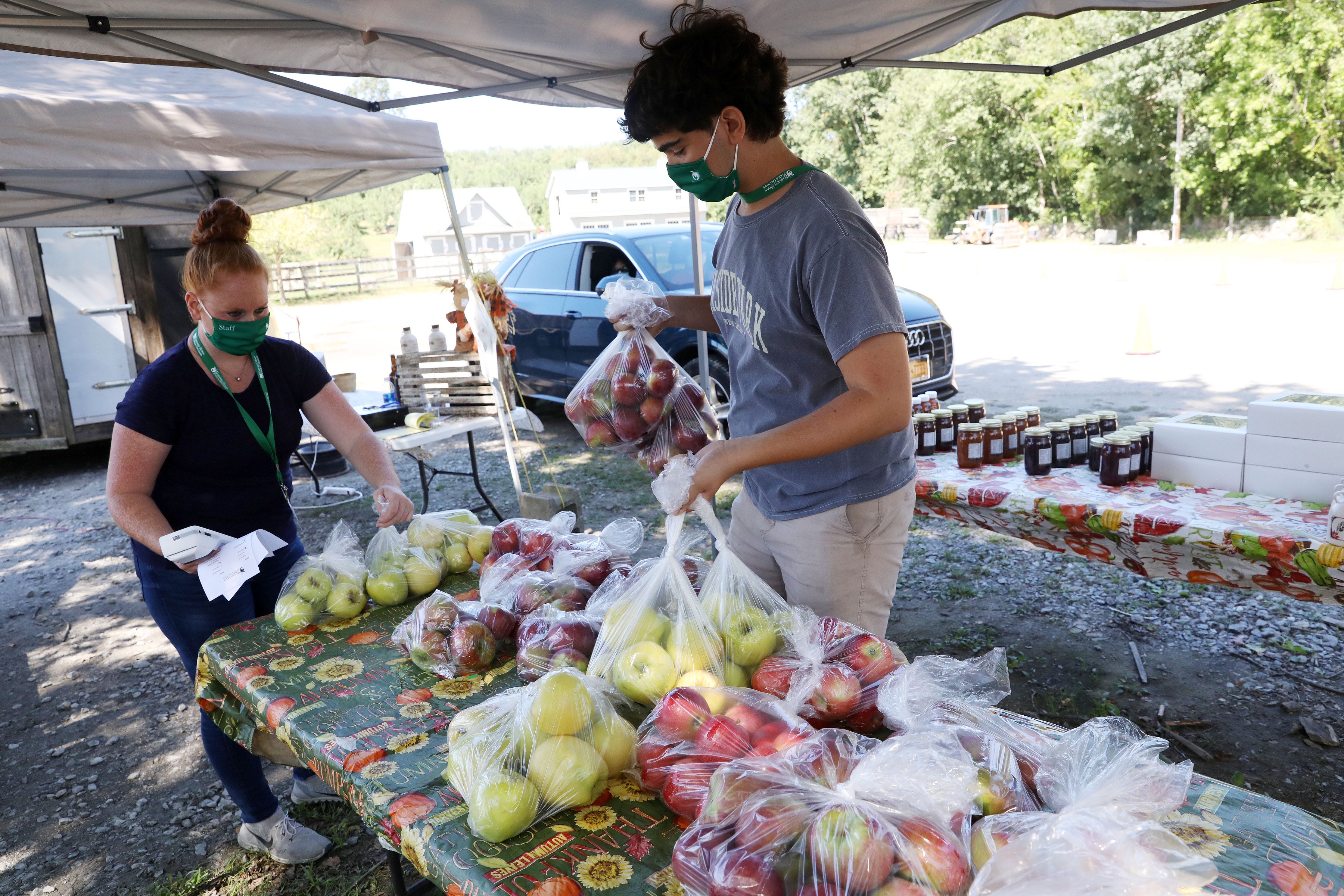 harvest moon farm and orchard