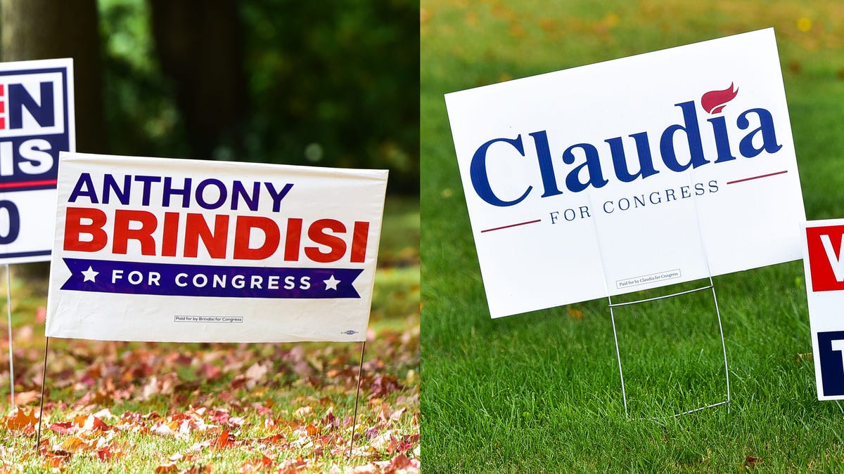 As the November election nears, political yard signs — including these seen in New York Mills — have sprouted throughout the Oneida County area. Along with the presidential and congressional races, elections for seats on the state Assembly and Senate are also on the 2020 ballot.