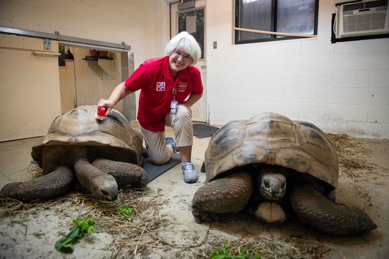 columbus zoo careers