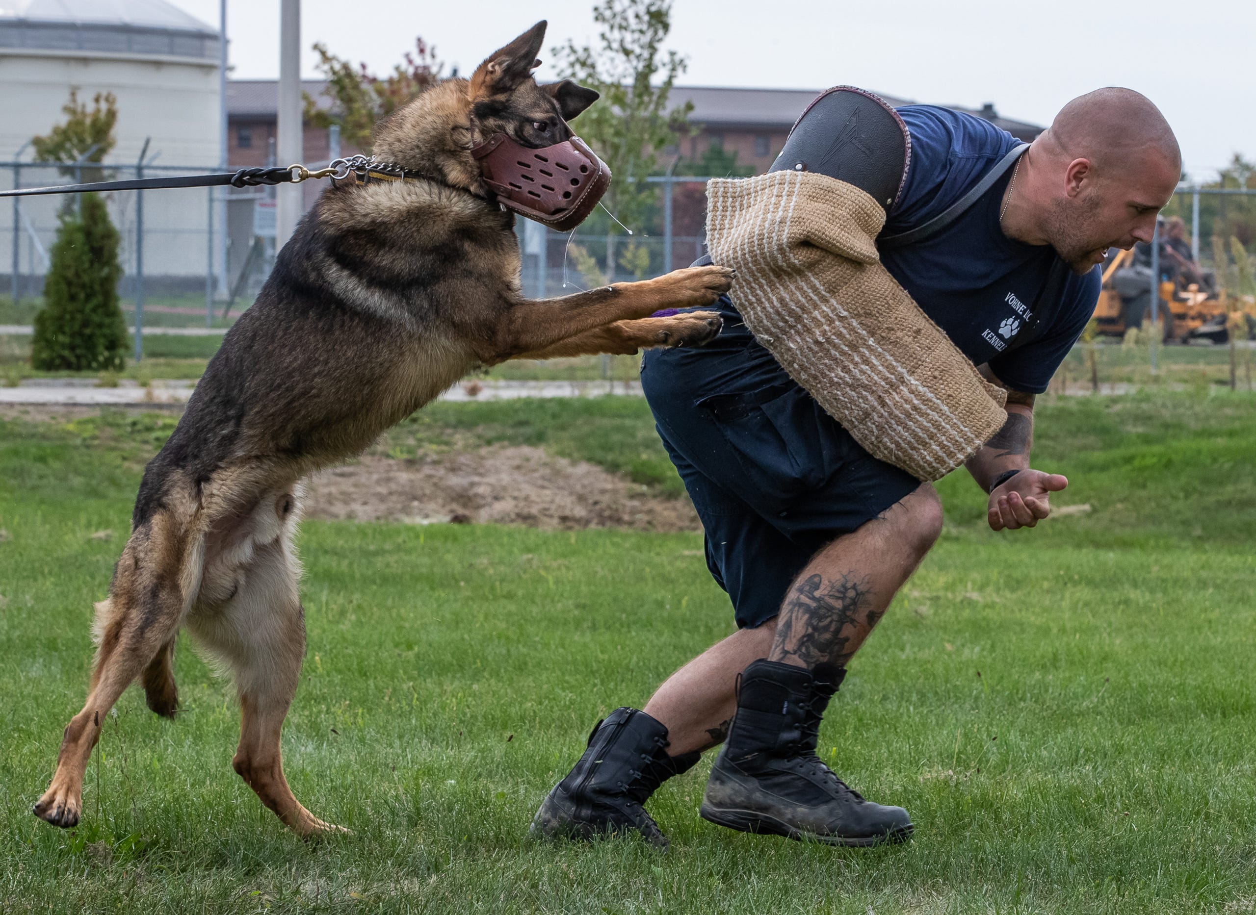 Inside The World Of Police K 9 Training From Tracking To Detection