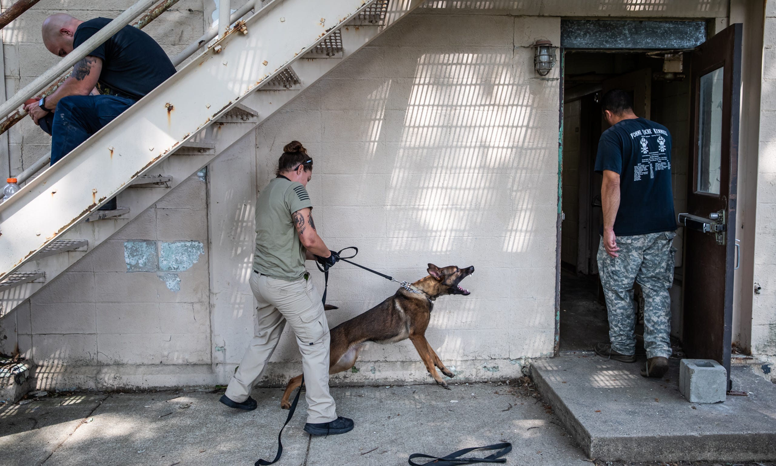 Inside The World Of Police K 9 Training From Tracking To Detection