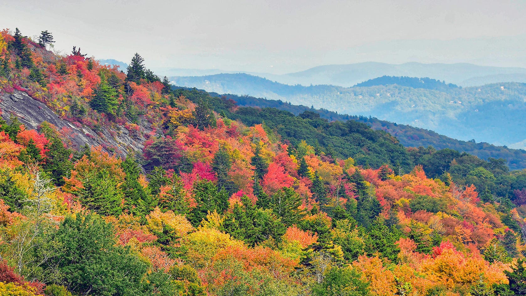 Here's what to expect from Asheville NC's fall foliage in 2021