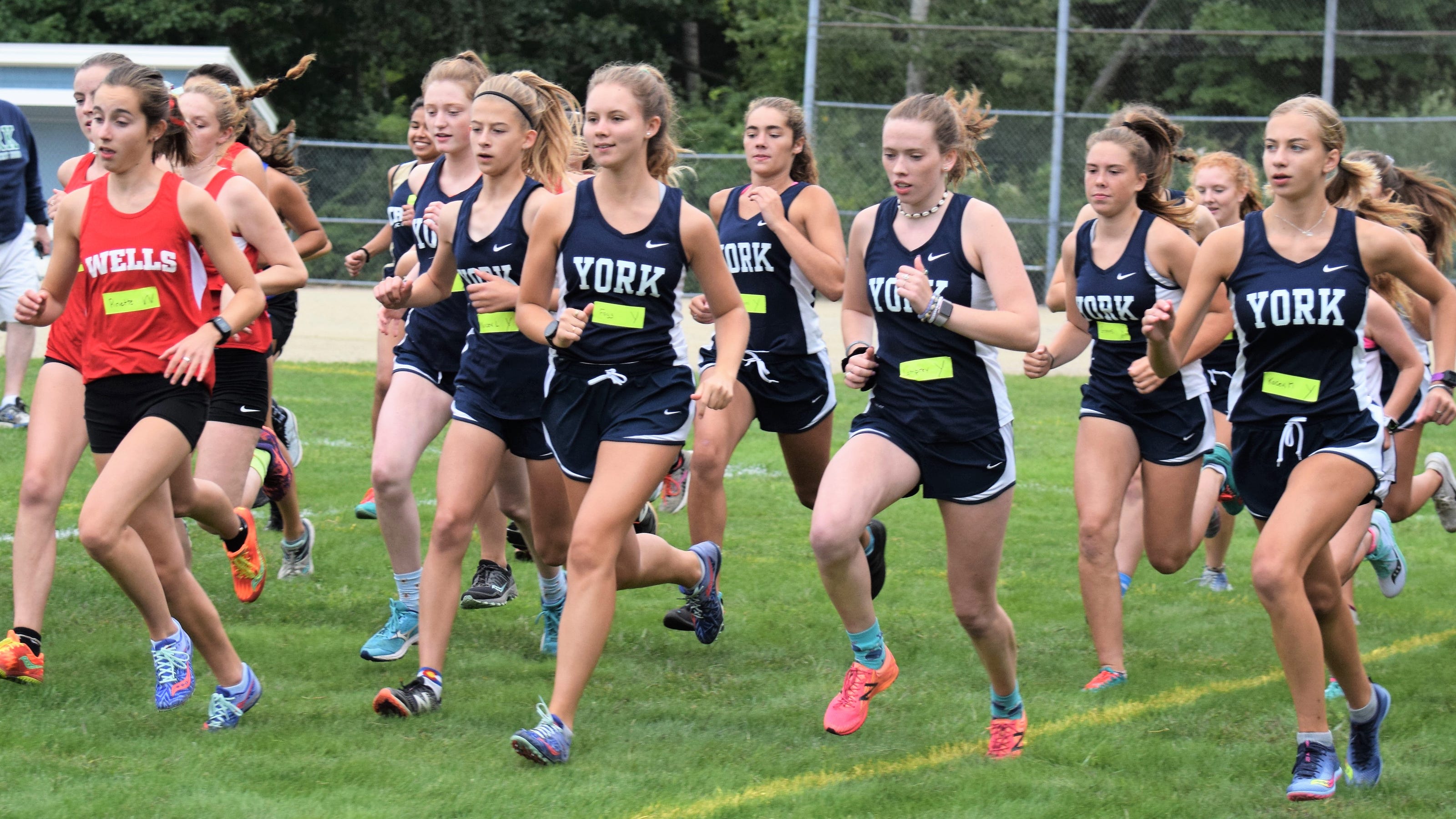 York cross country teams return to action at state qualifier