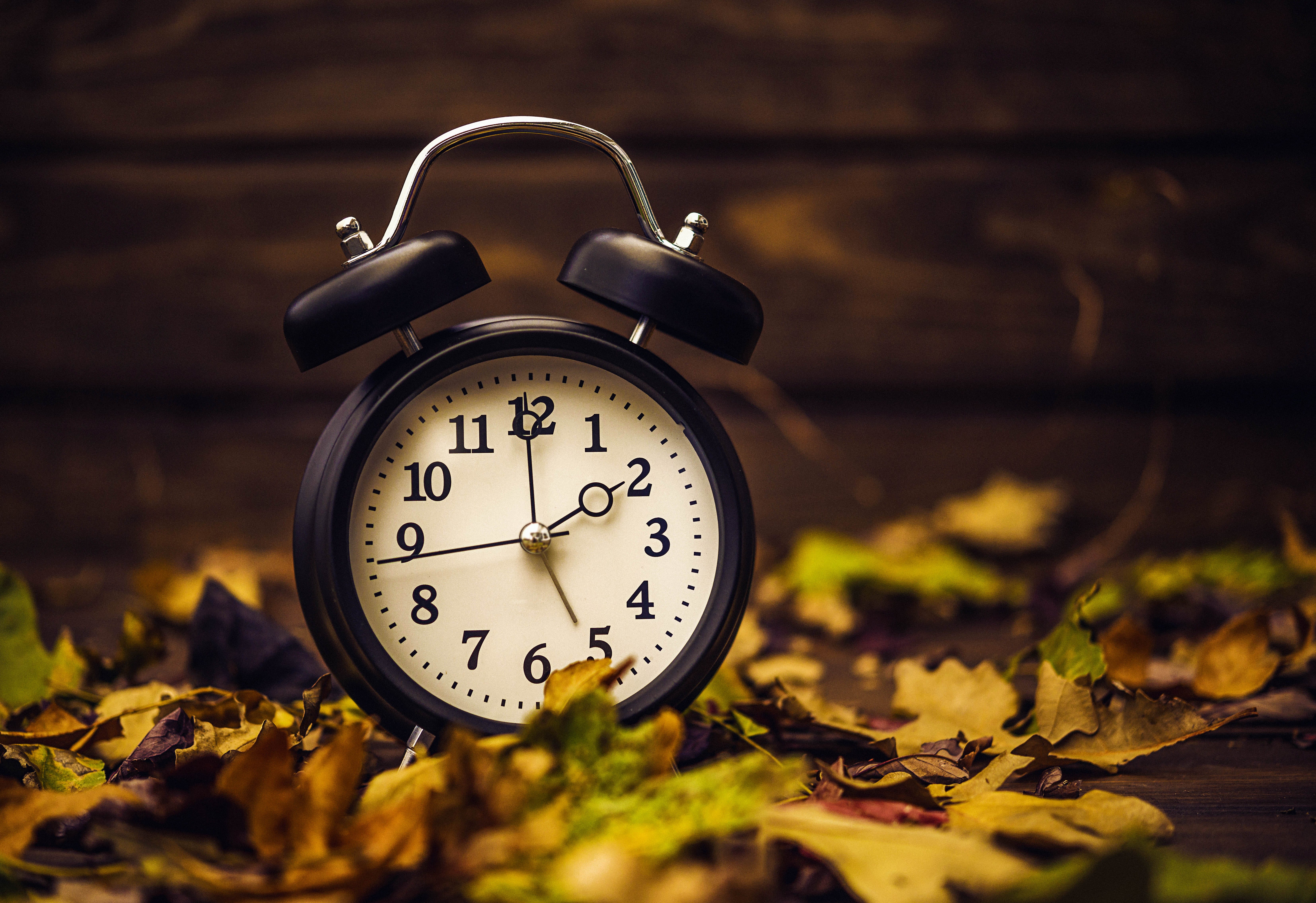 Daylight savings time: Clocks fall back November 6: What to know