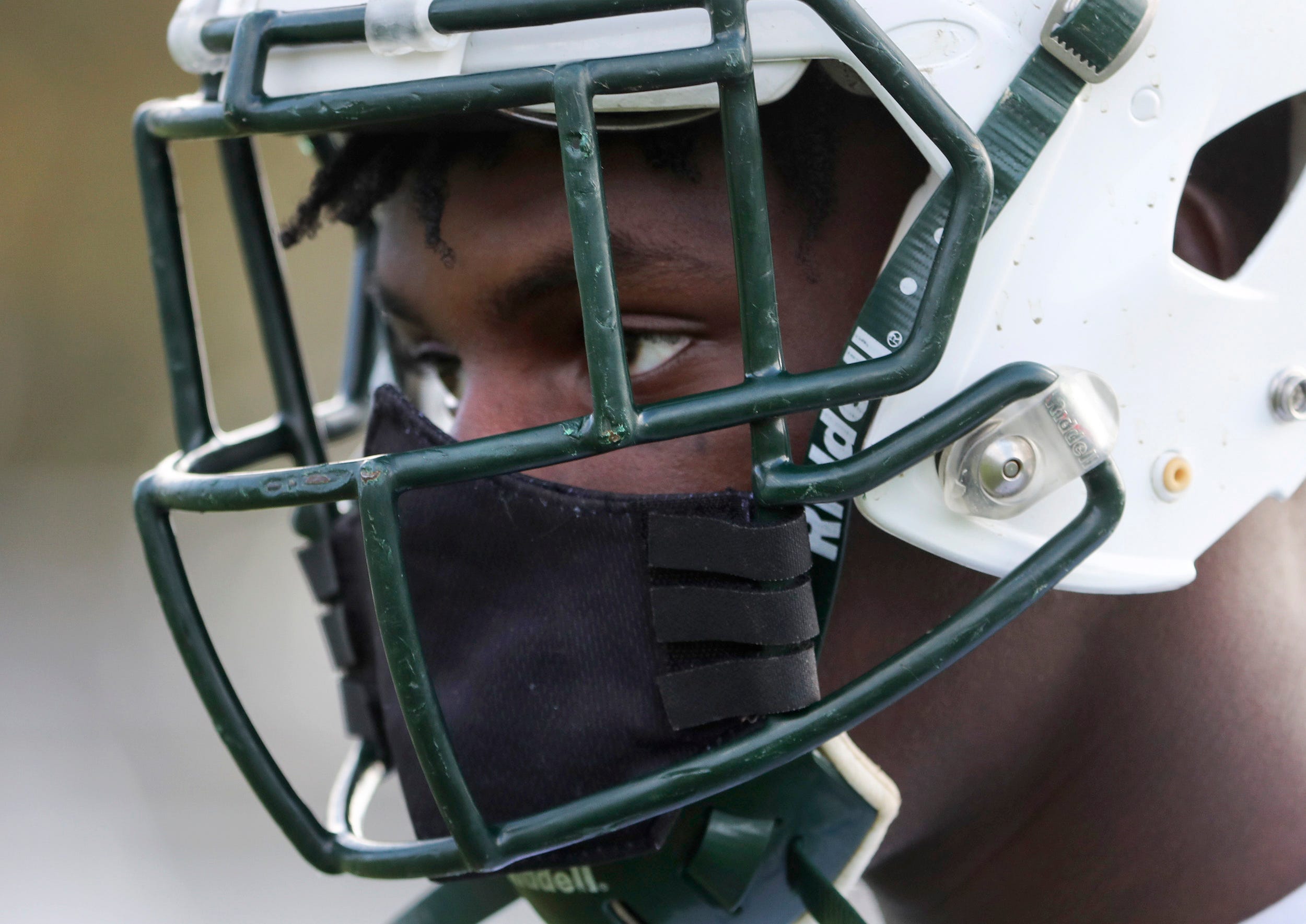 football helmet face guard