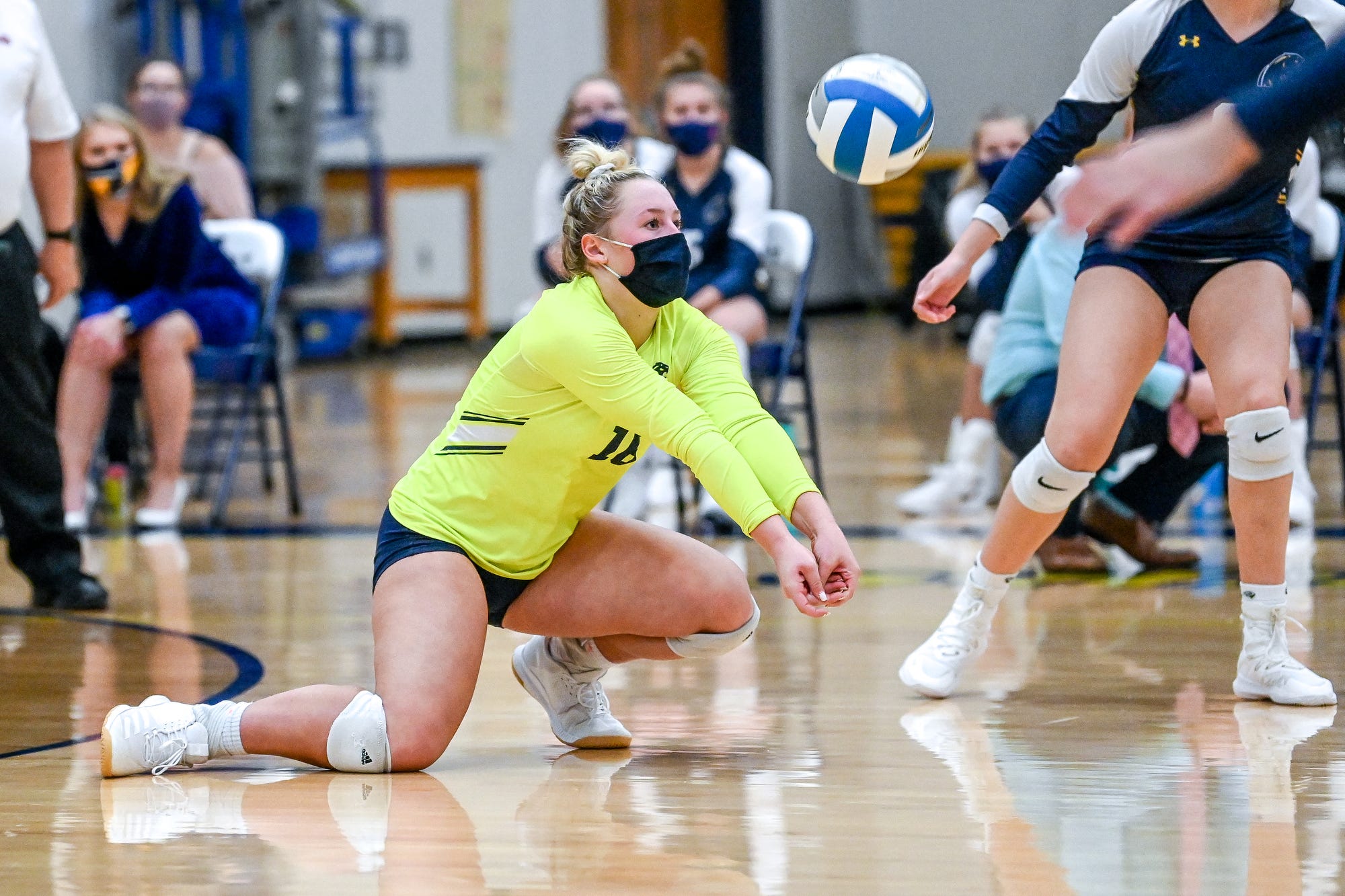 High School Volleyball: See The Lansing Area Dream Team And All-area