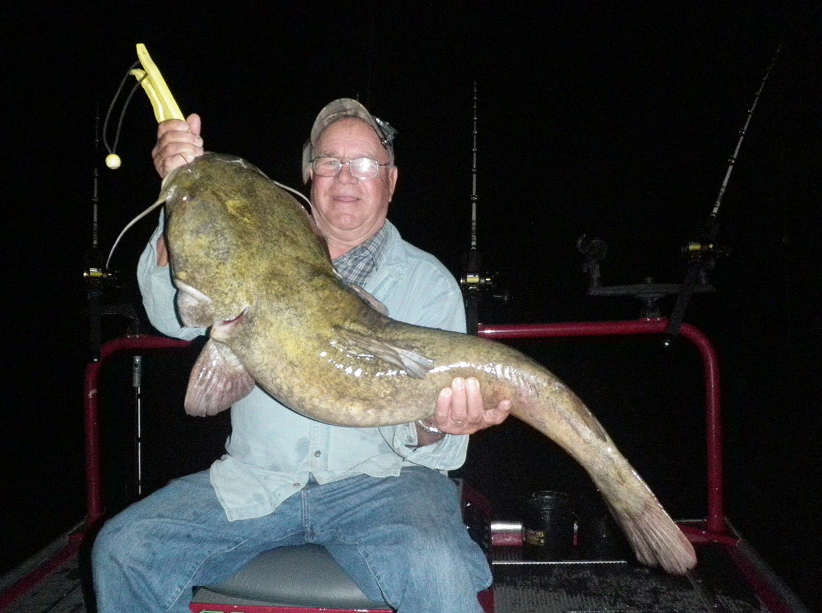 Fish Of The Week: Big Surprise Of A Flathead Catfish While Fishing For  Smallmouth Bass On The Kankakee River Chicago Sun-Times