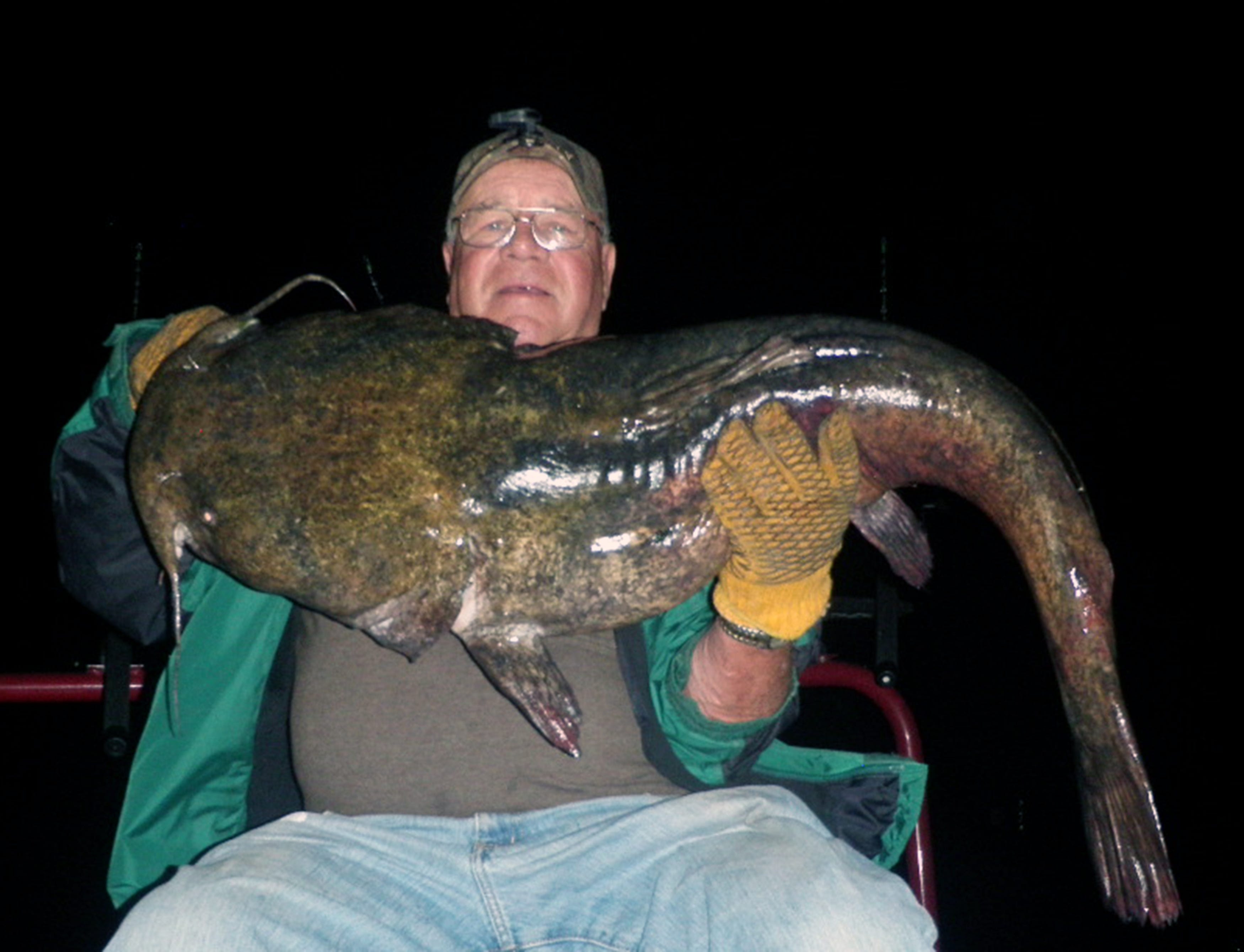 Flathead catfish: Fishing for monsters in the Susquehanna River